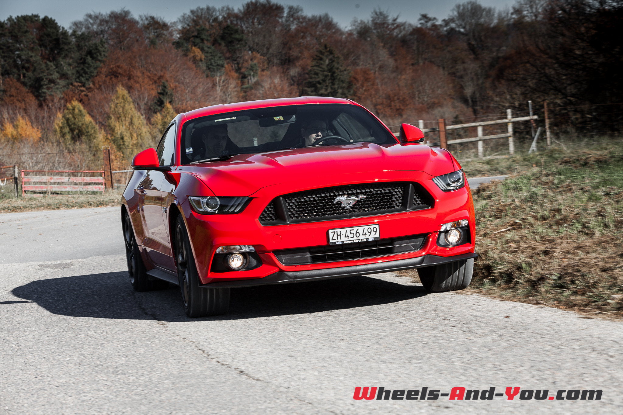 Ford Mustang-22