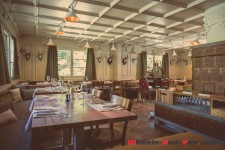 Zermatt2016_33_Cervo