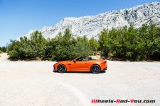 jaguar-ftype-svr-29
