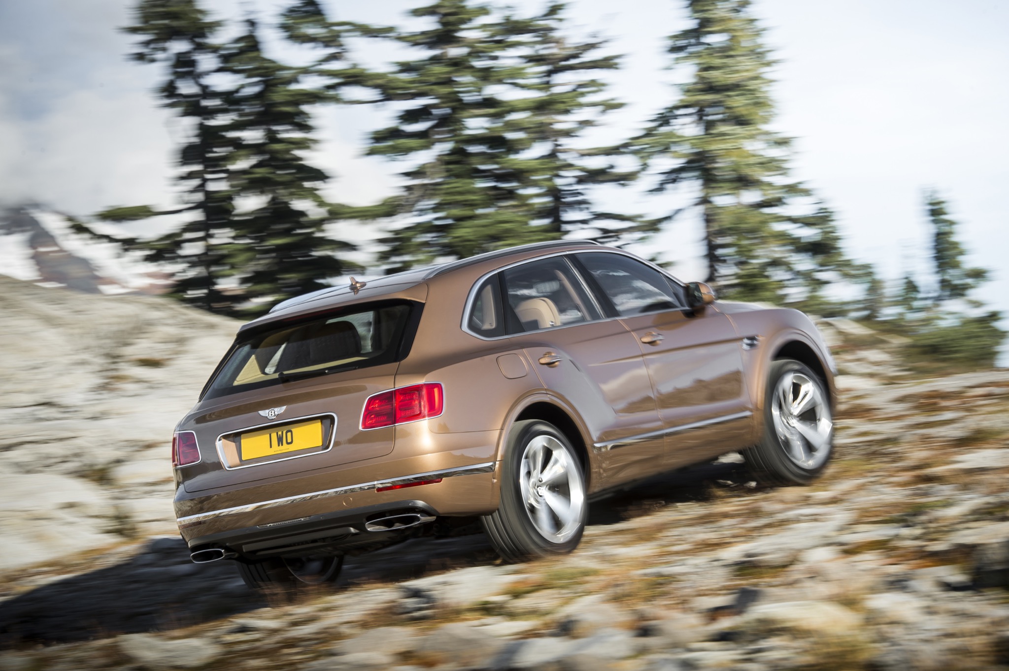 BentleyBentayga 11