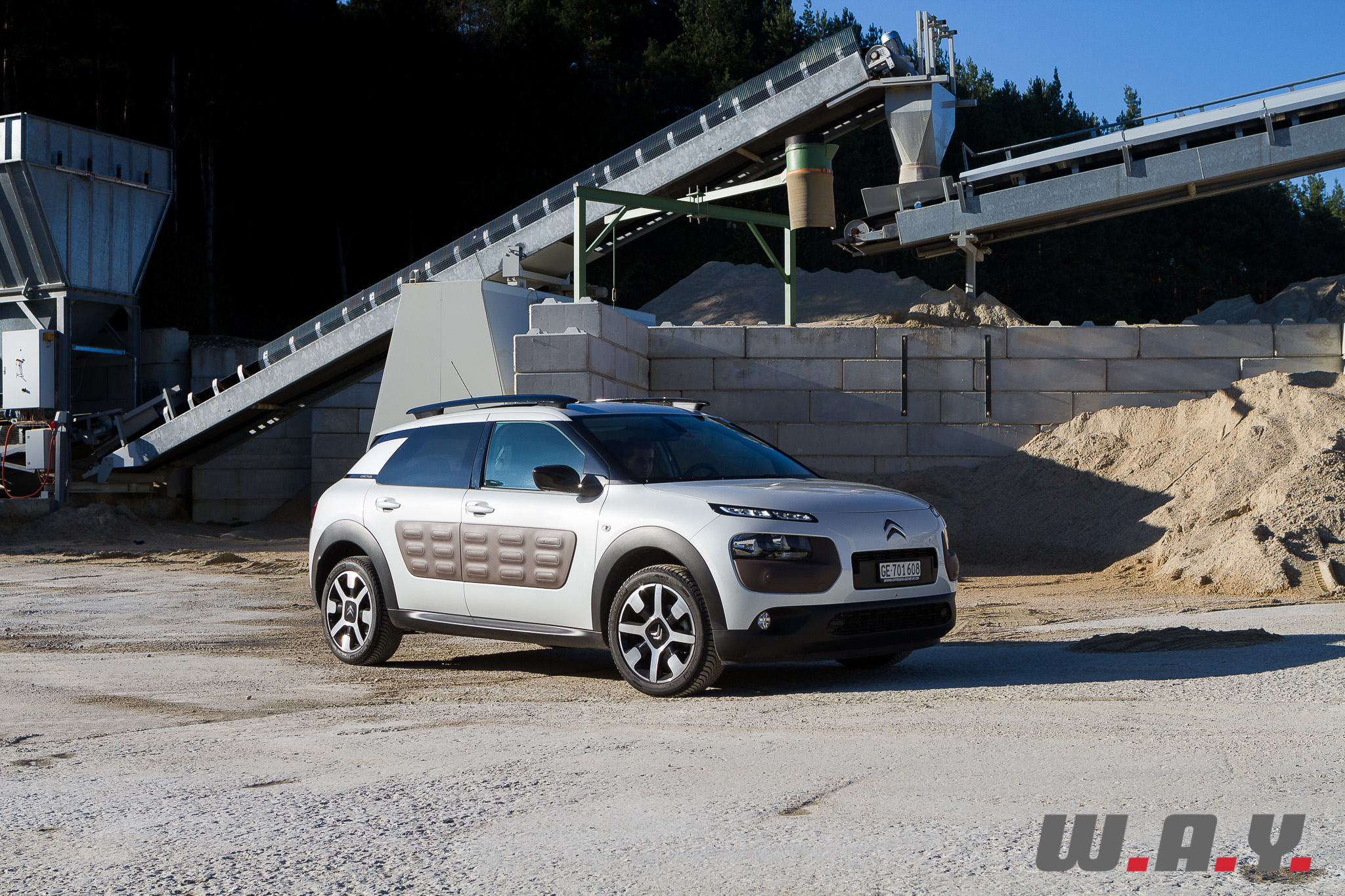 C4Cactus 08