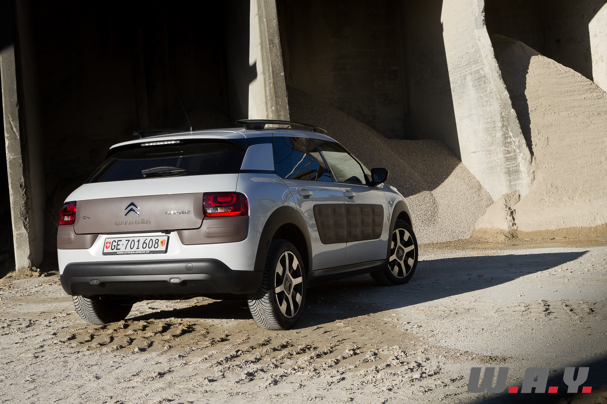 C4Cactus 10