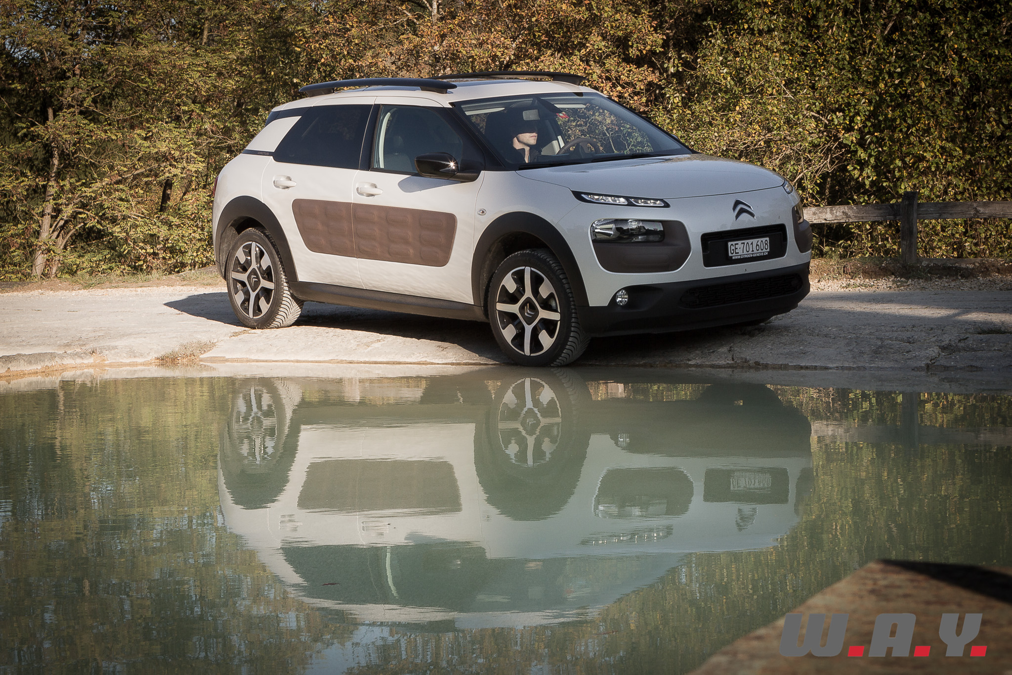 C4Cactus 12