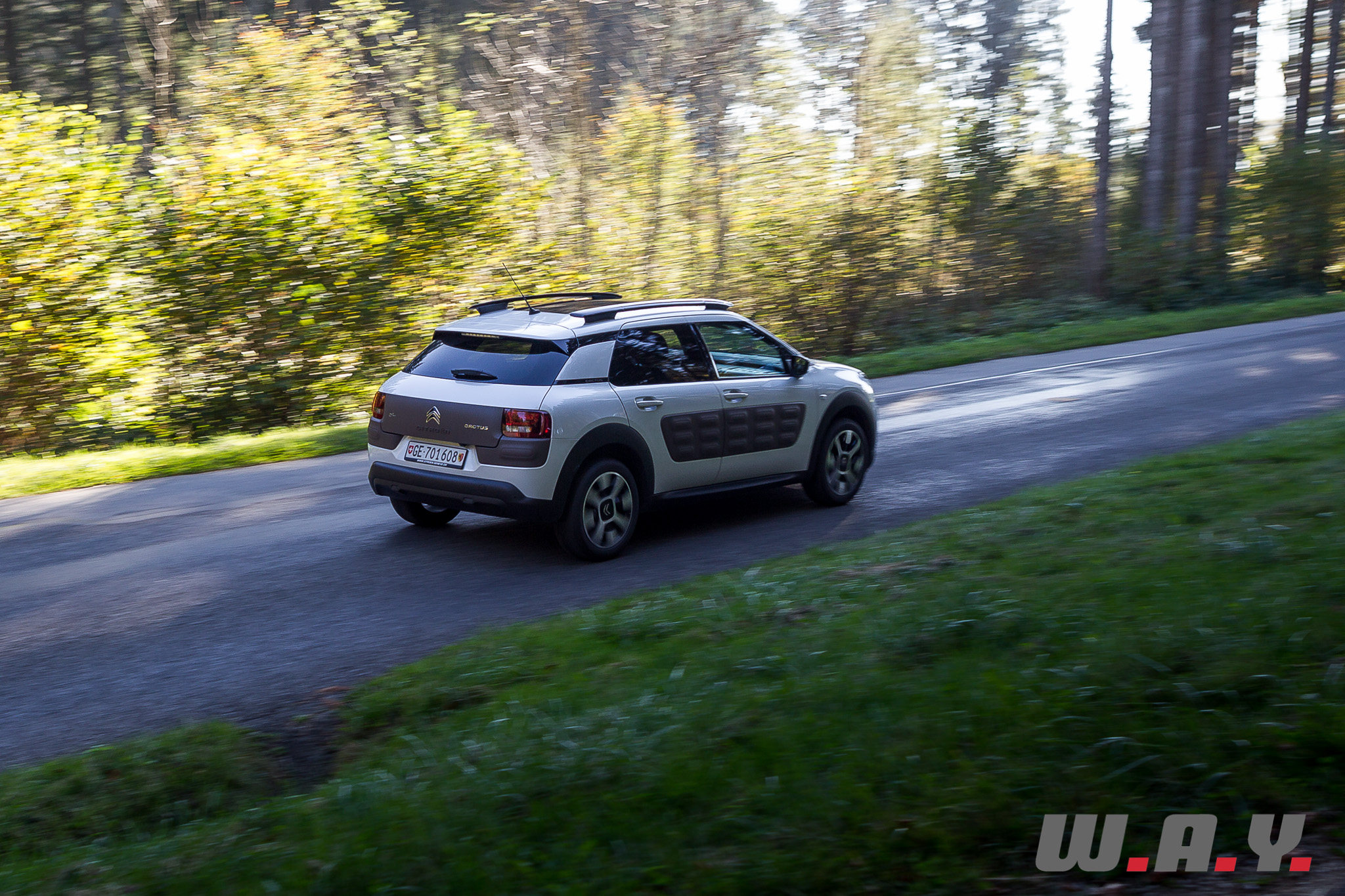 C4Cactus 34