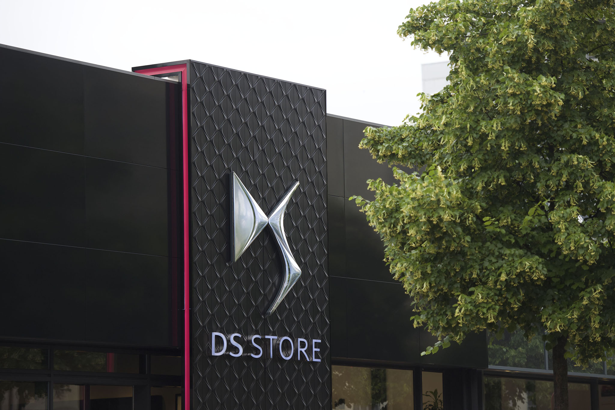 DSStore 04