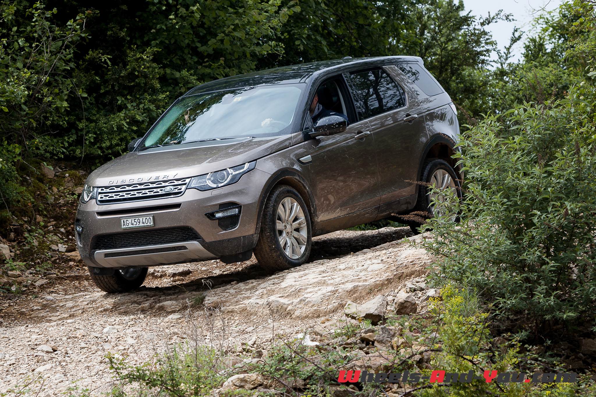 Discovery-Sport-21