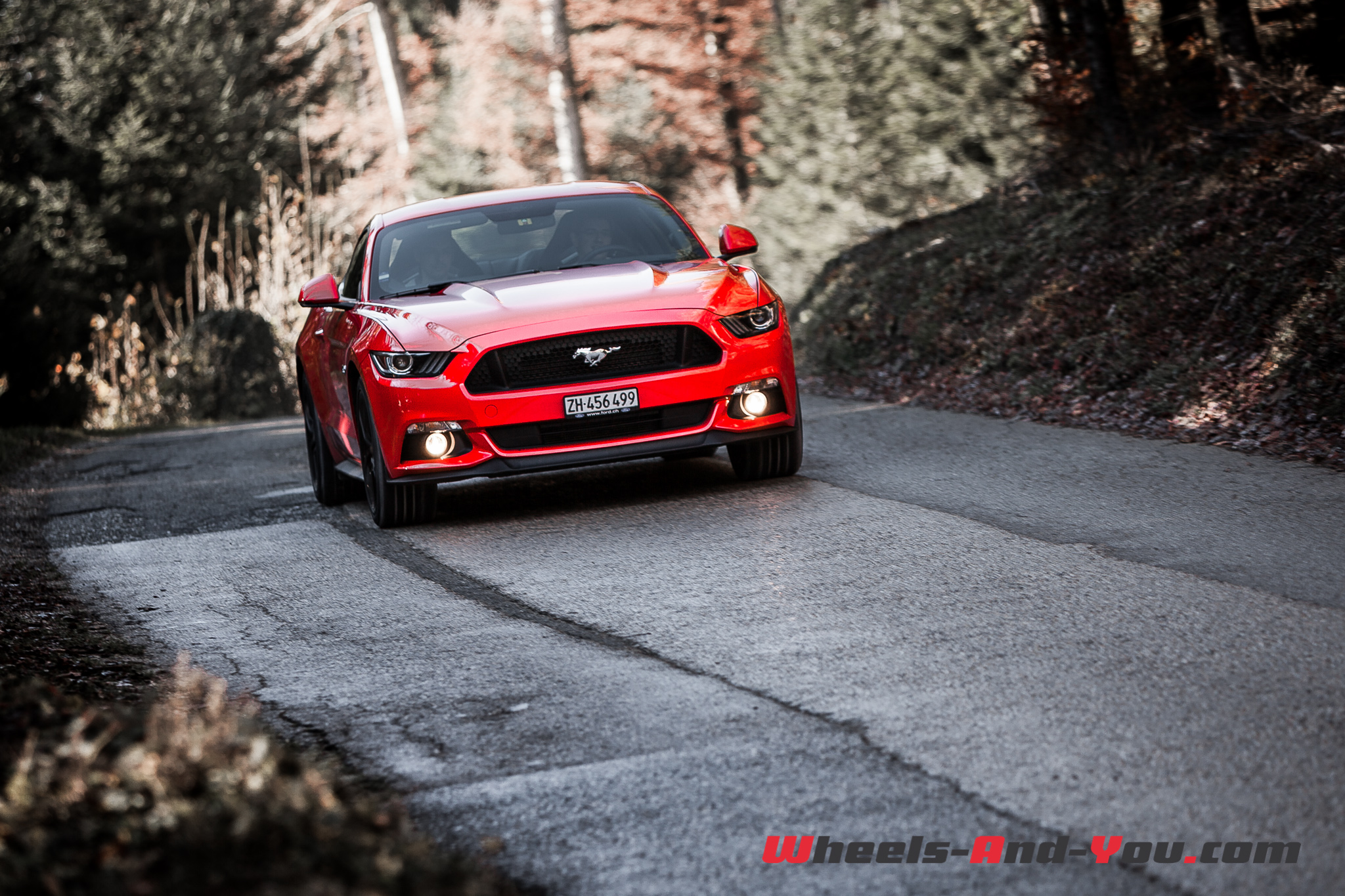 Ford Mustang-11