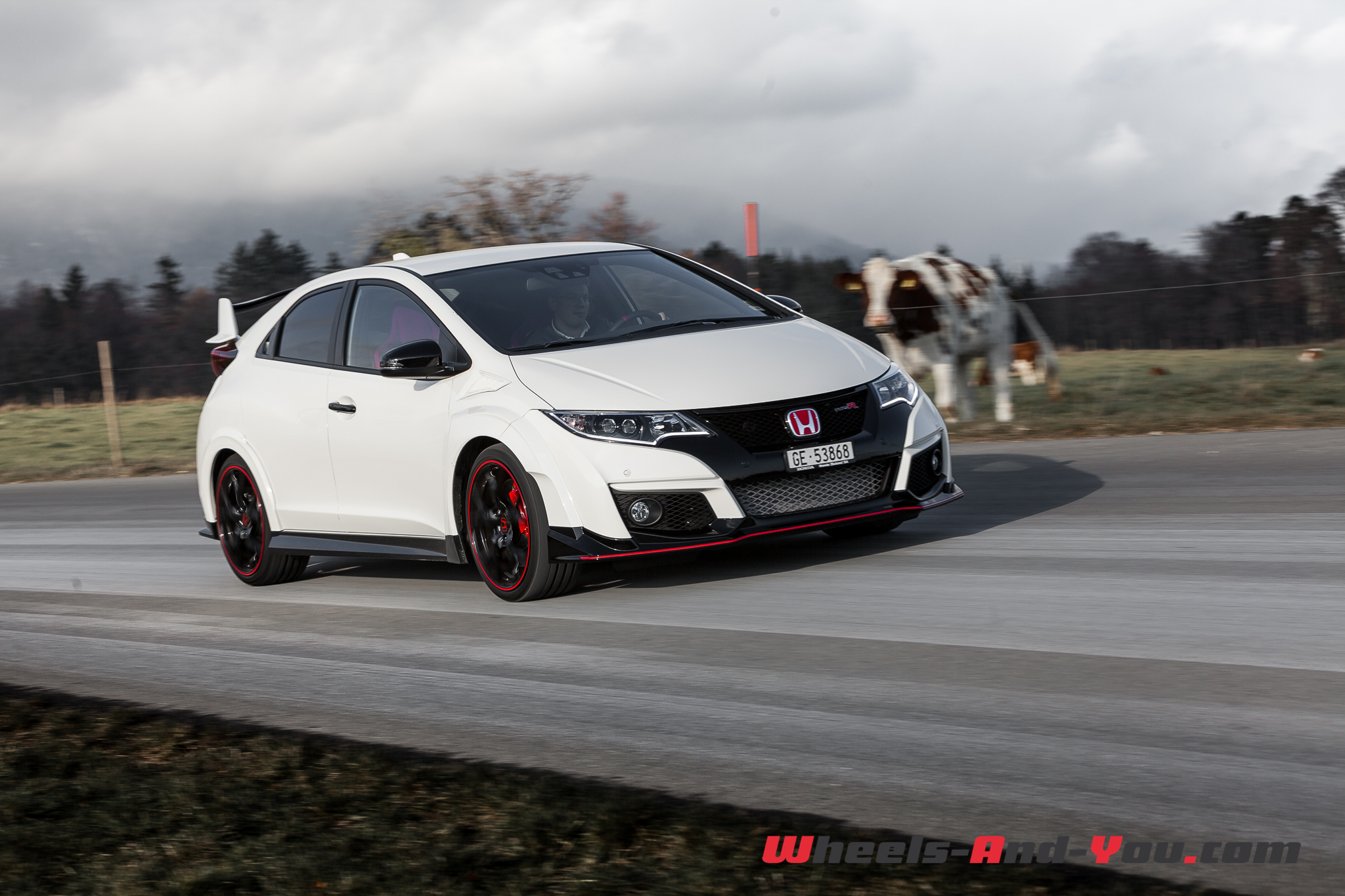 HondaCivicTypeR 13