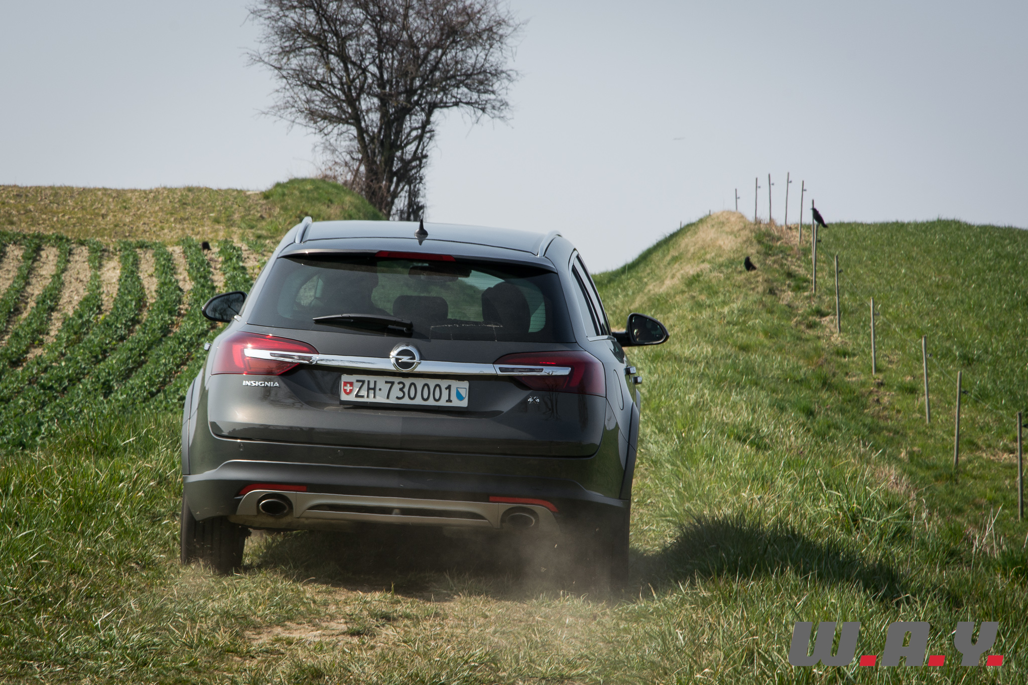 InsigniaCountryTourer-34