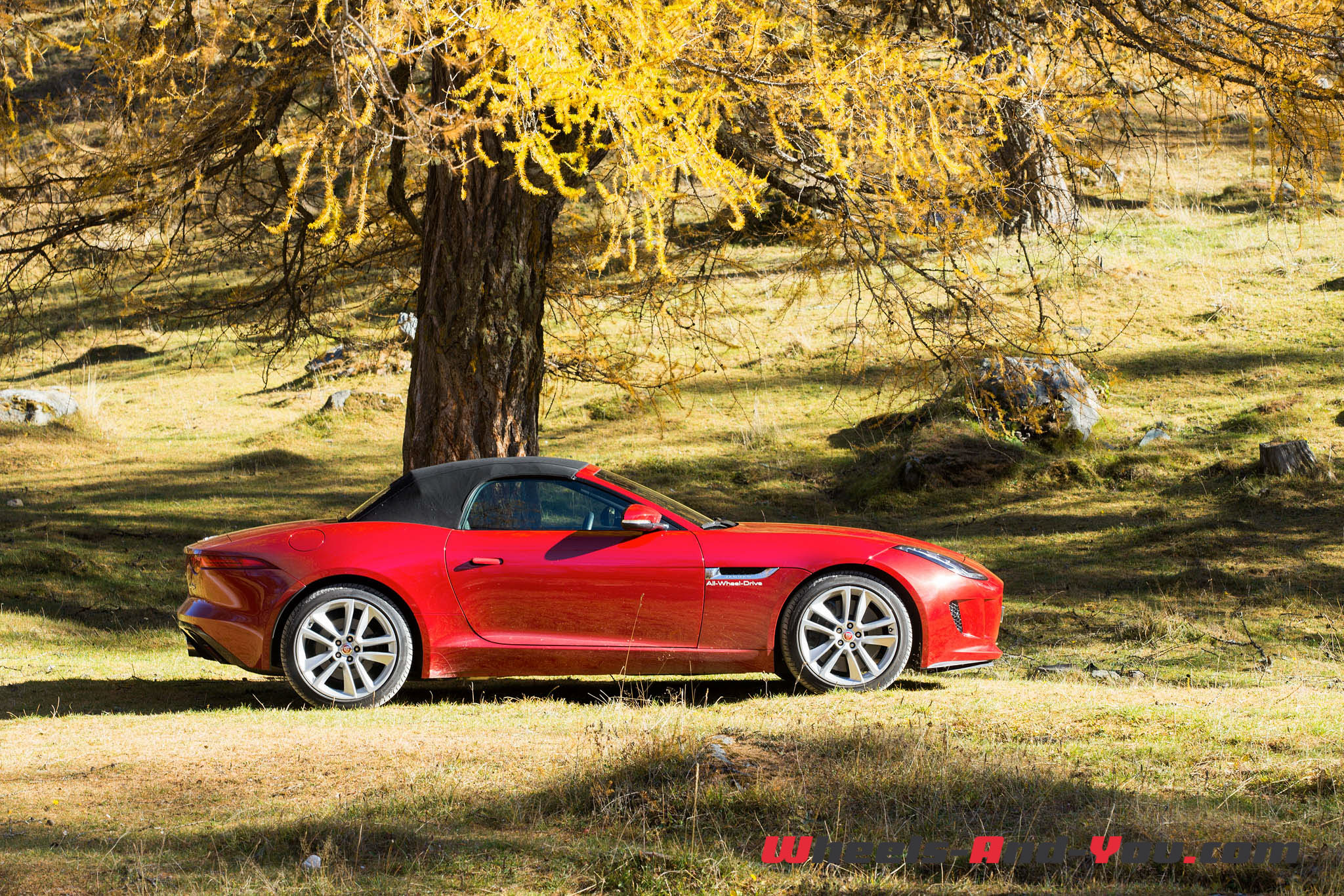 Jaguar F-Type S AWD-10