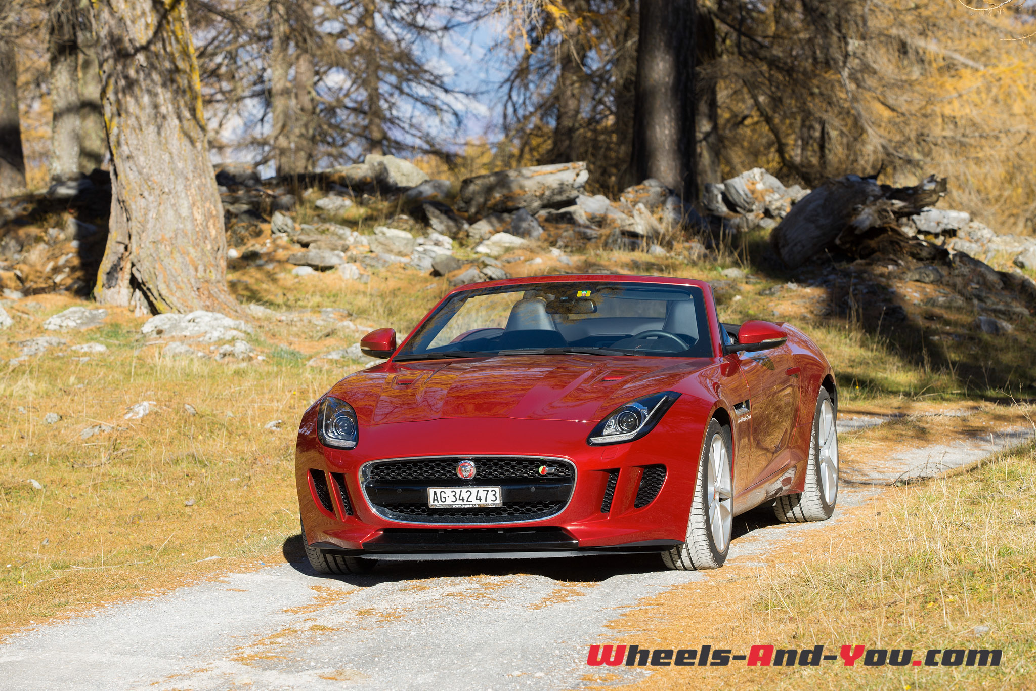 Jaguar F-Type S AWD-5