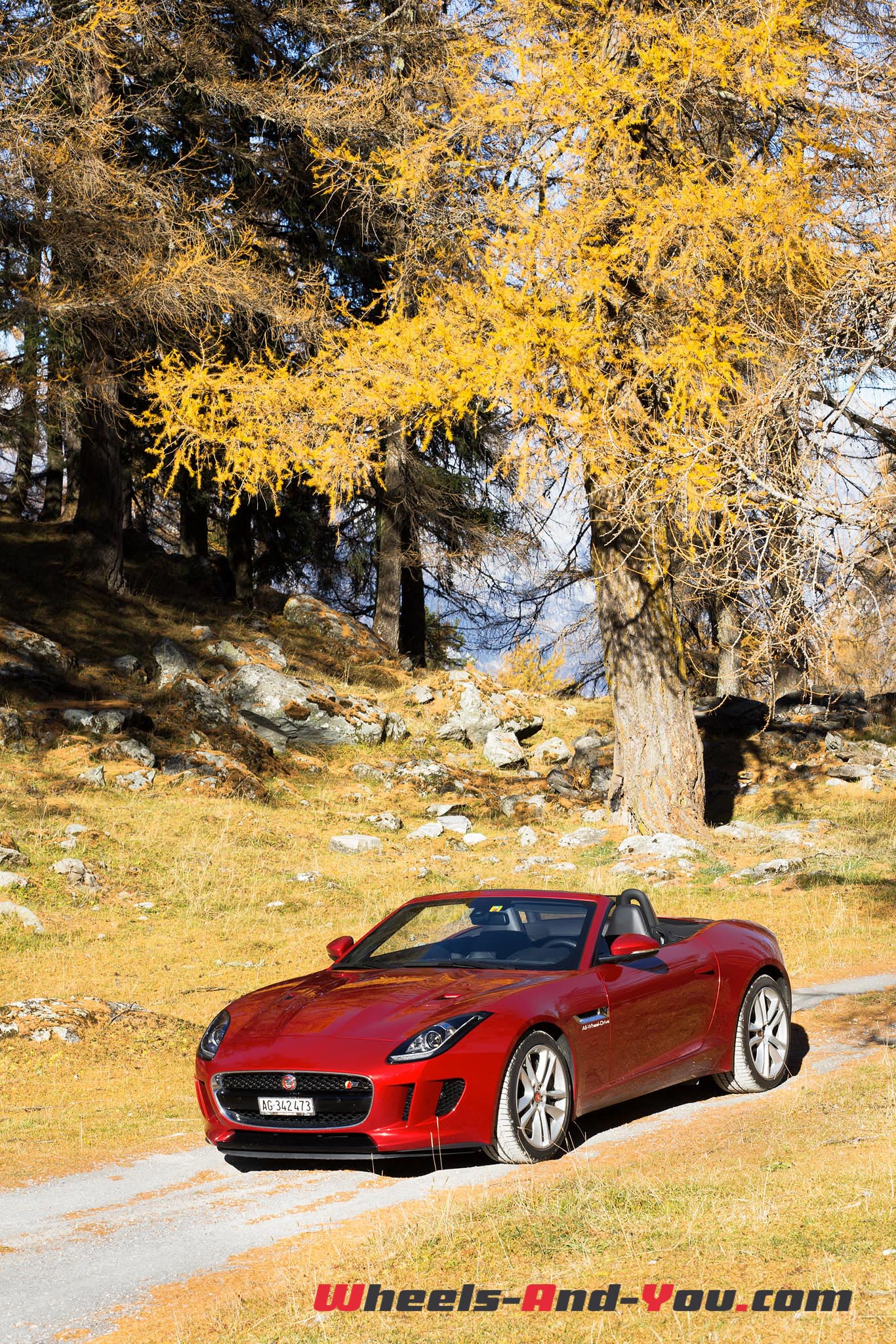 Jaguar F-Type S AWD-6
