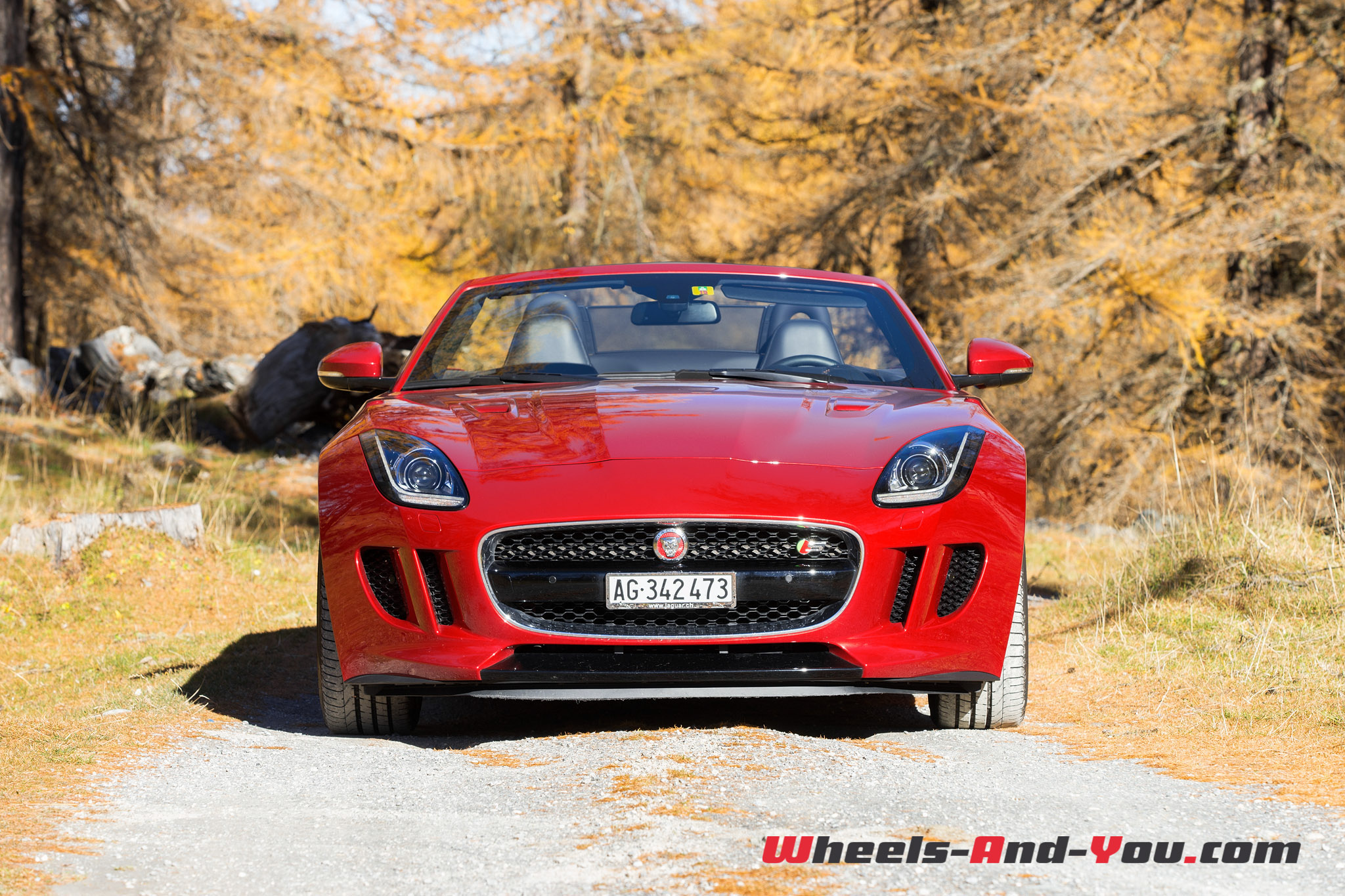 Jaguar F-Type S AWD-7