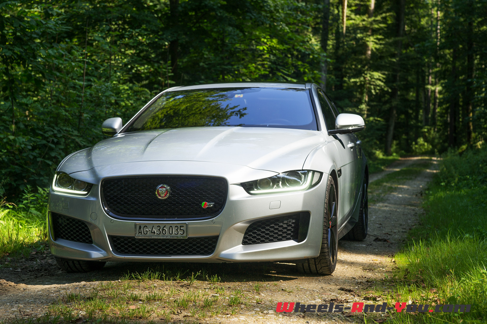 Jaguar XE-19