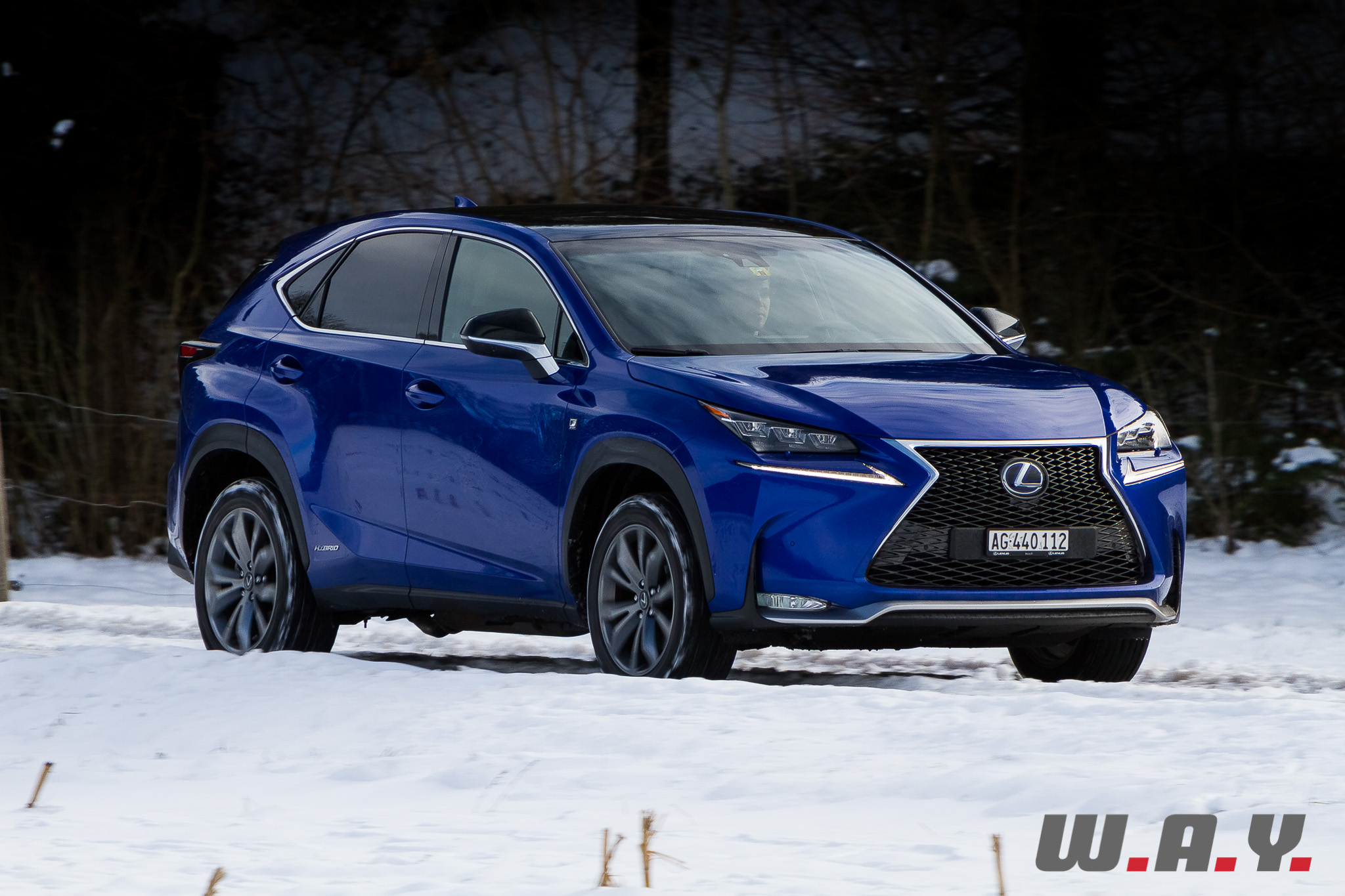 LexusNX300h 05