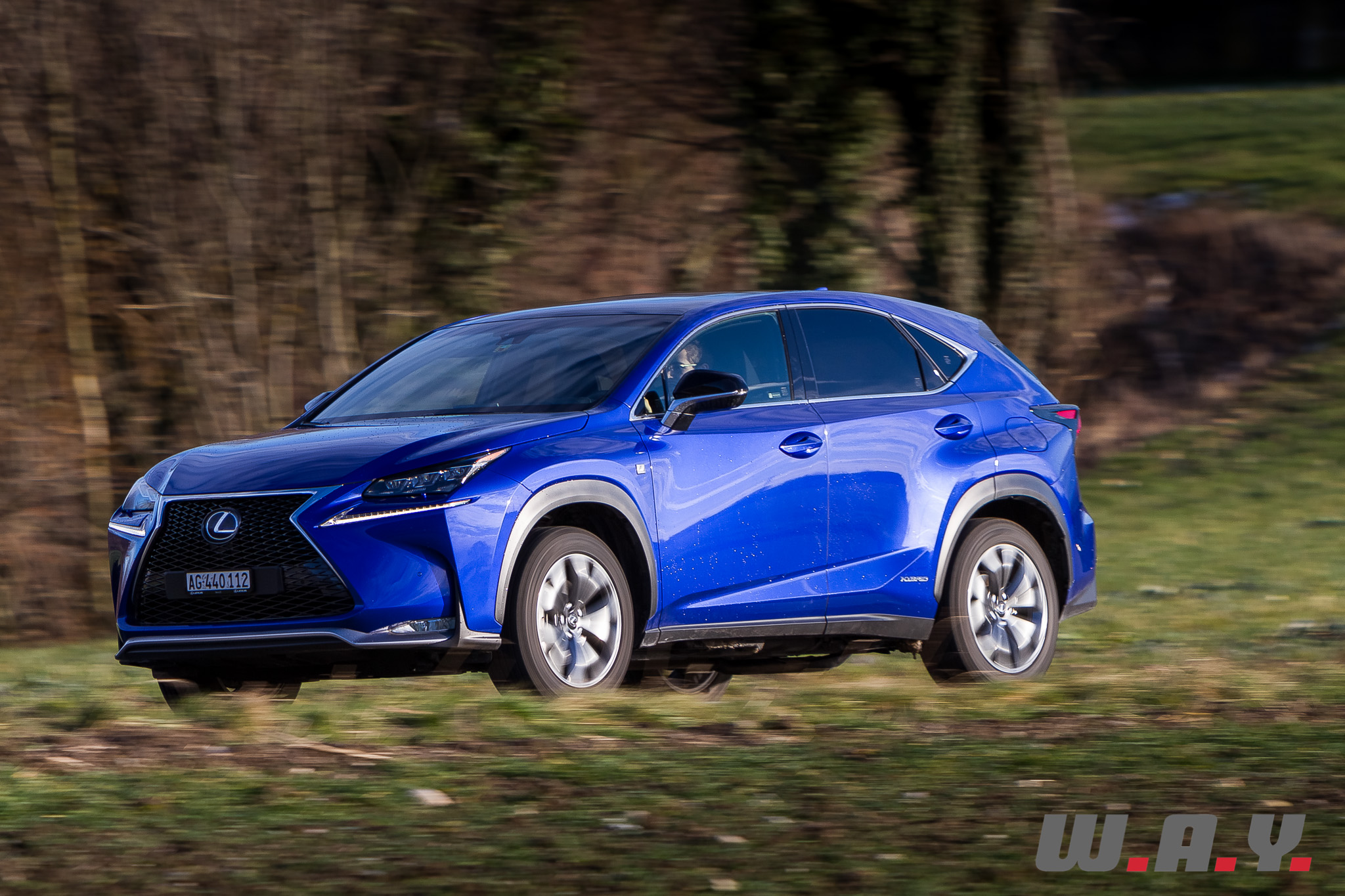 LexusNX300h 08