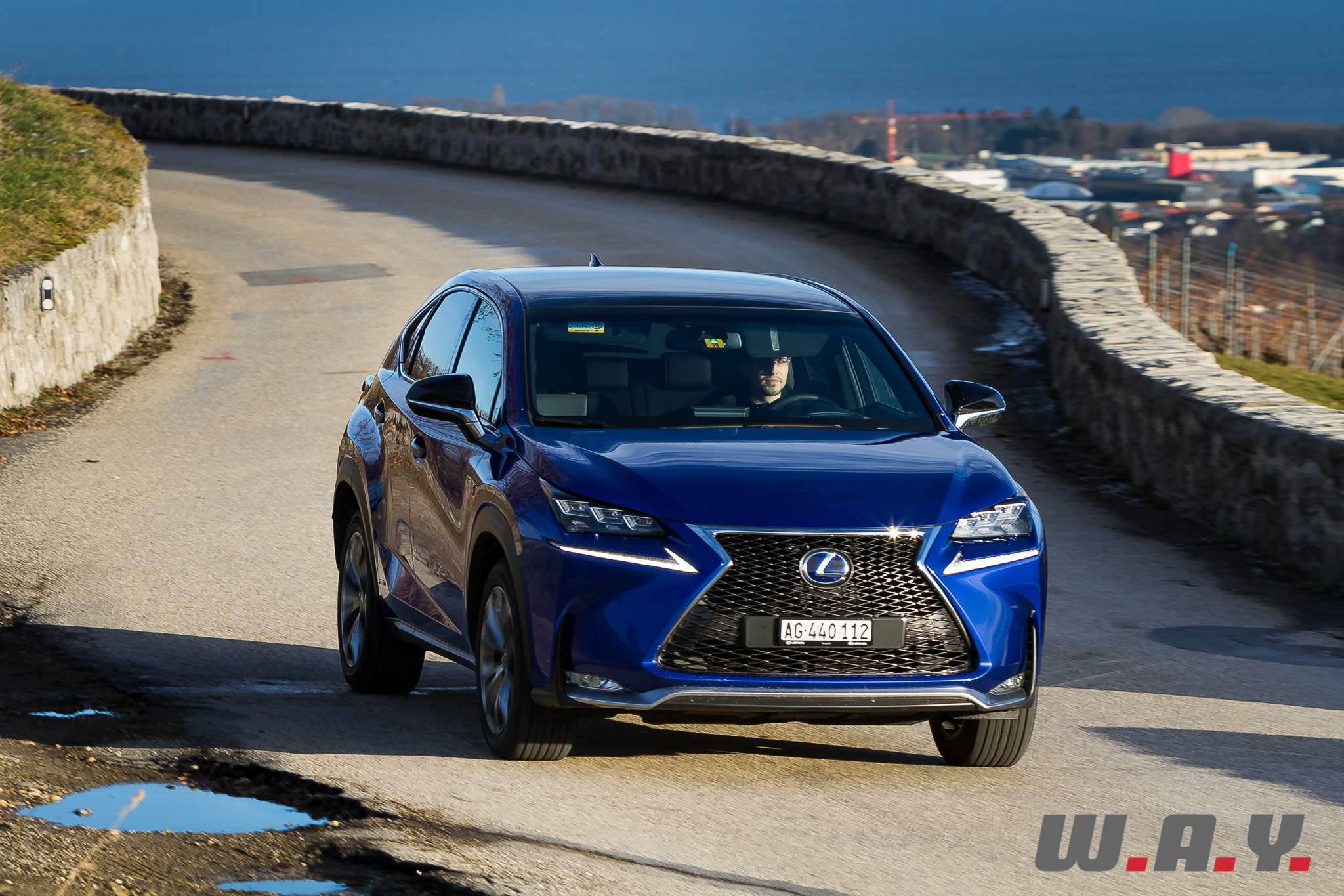 LexusNX300h 10