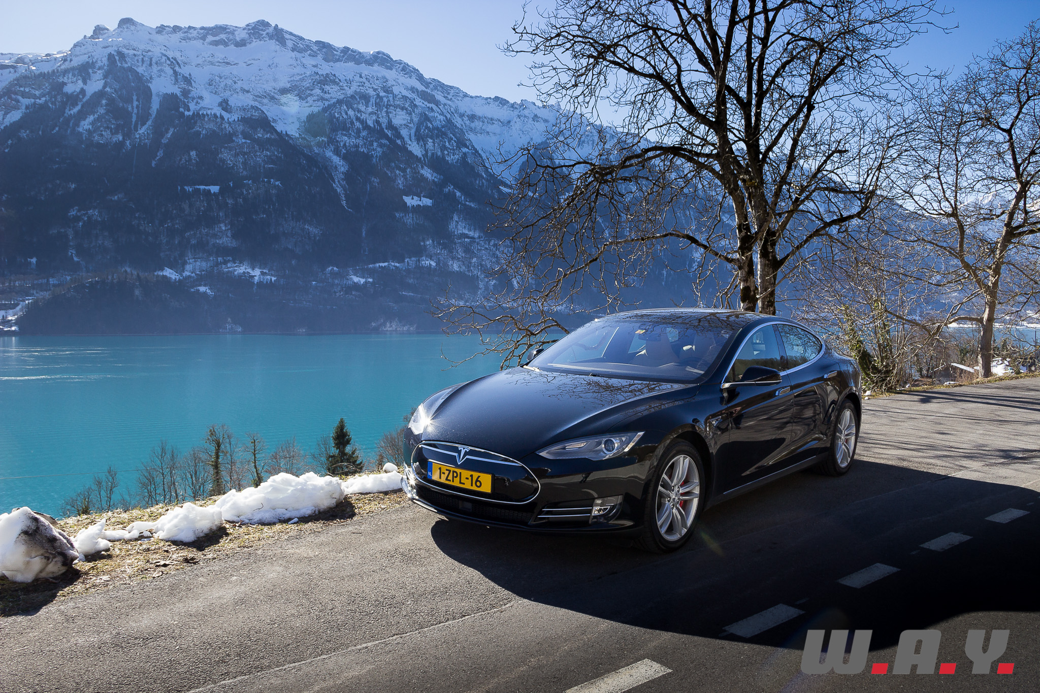 TeslaModelSP85D 12