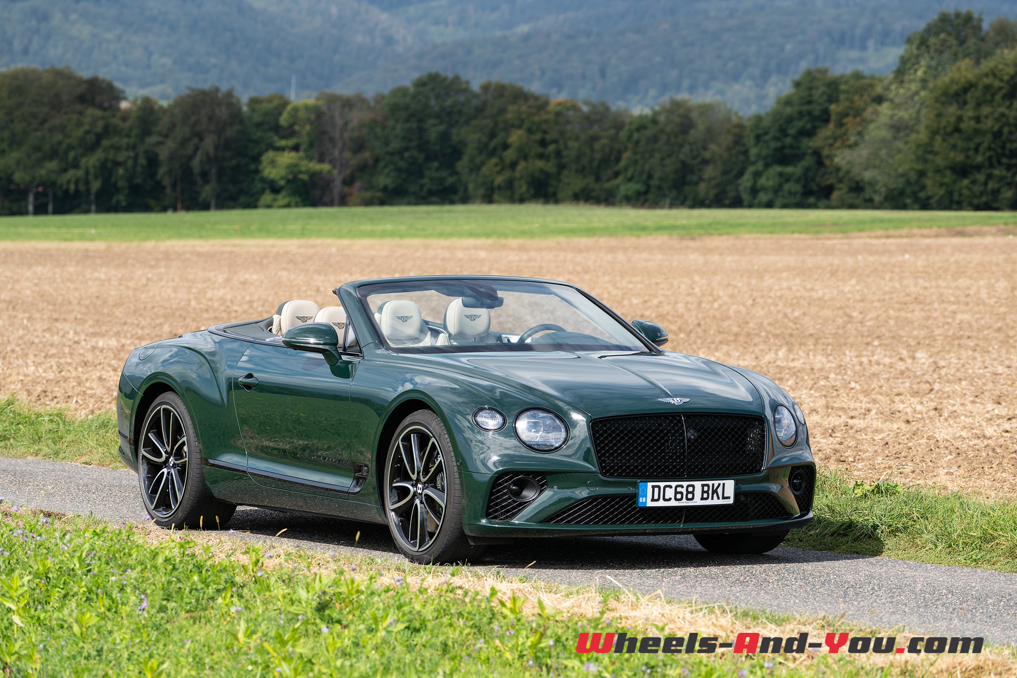 Bentley continental gt cabriolet