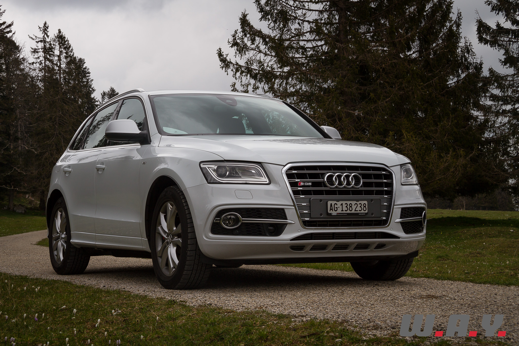 AudiSQ5-3