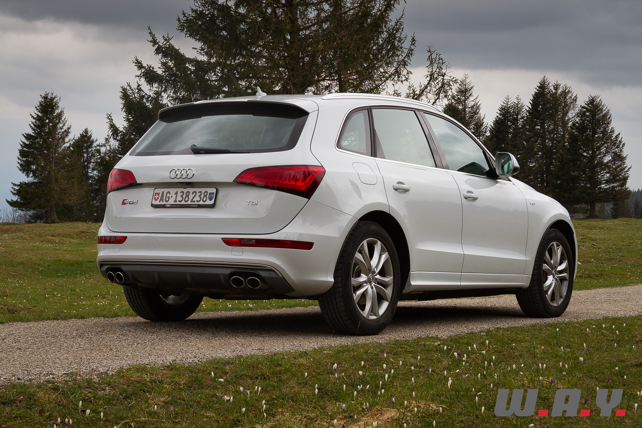 AudiSQ5-6