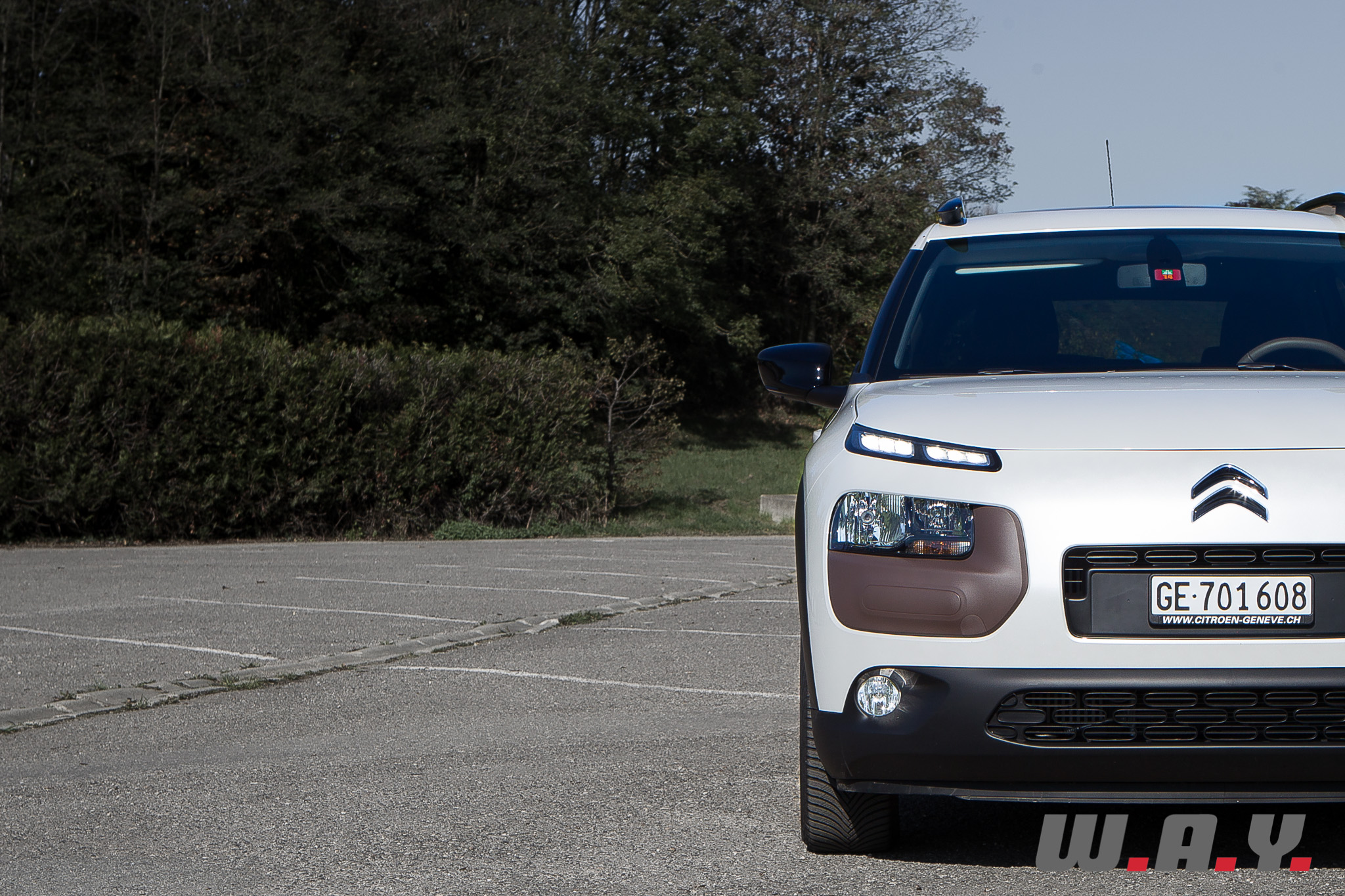 C4Cactus 02