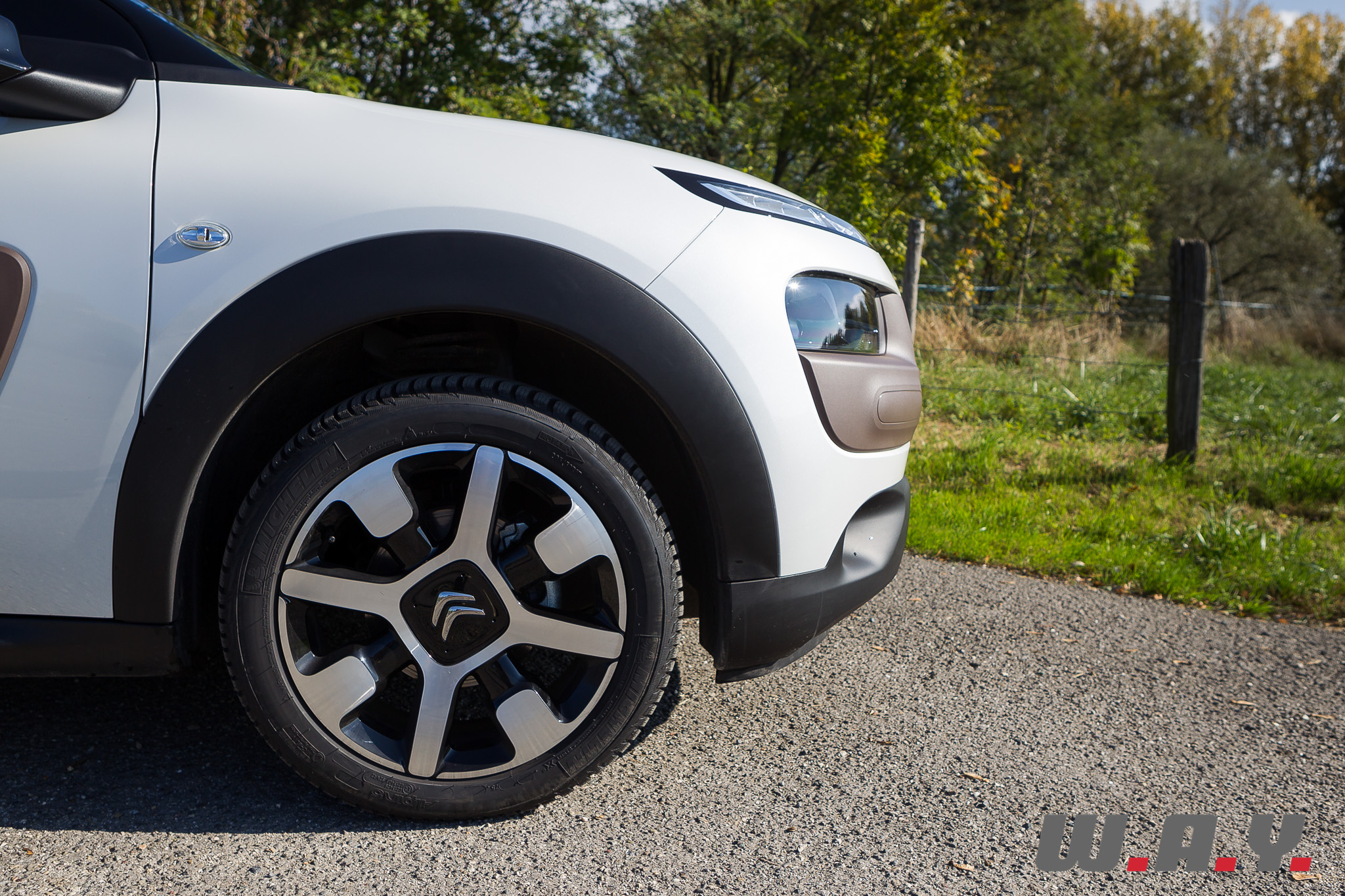 C4Cactus 03
