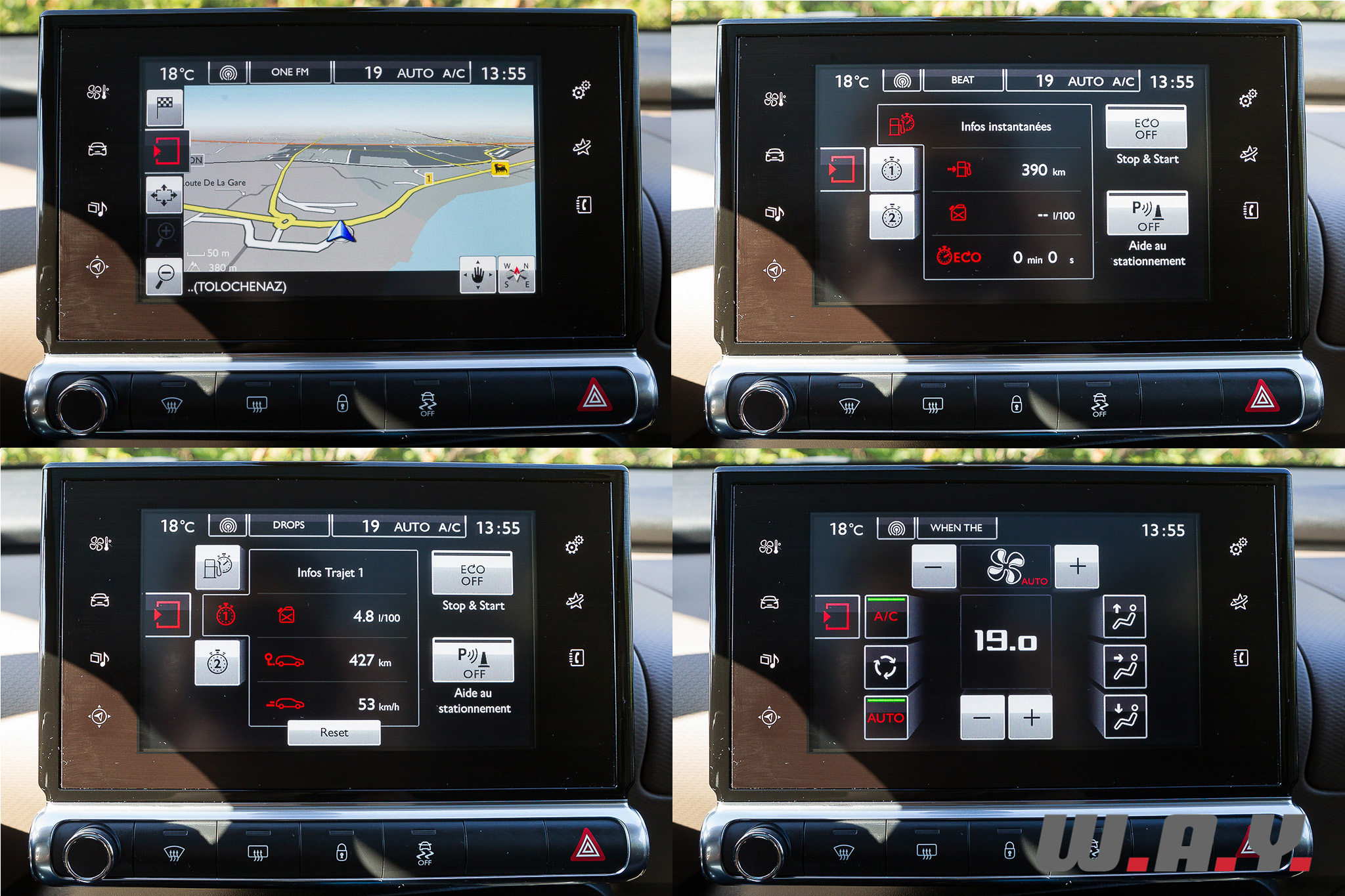 C4Cactus 29