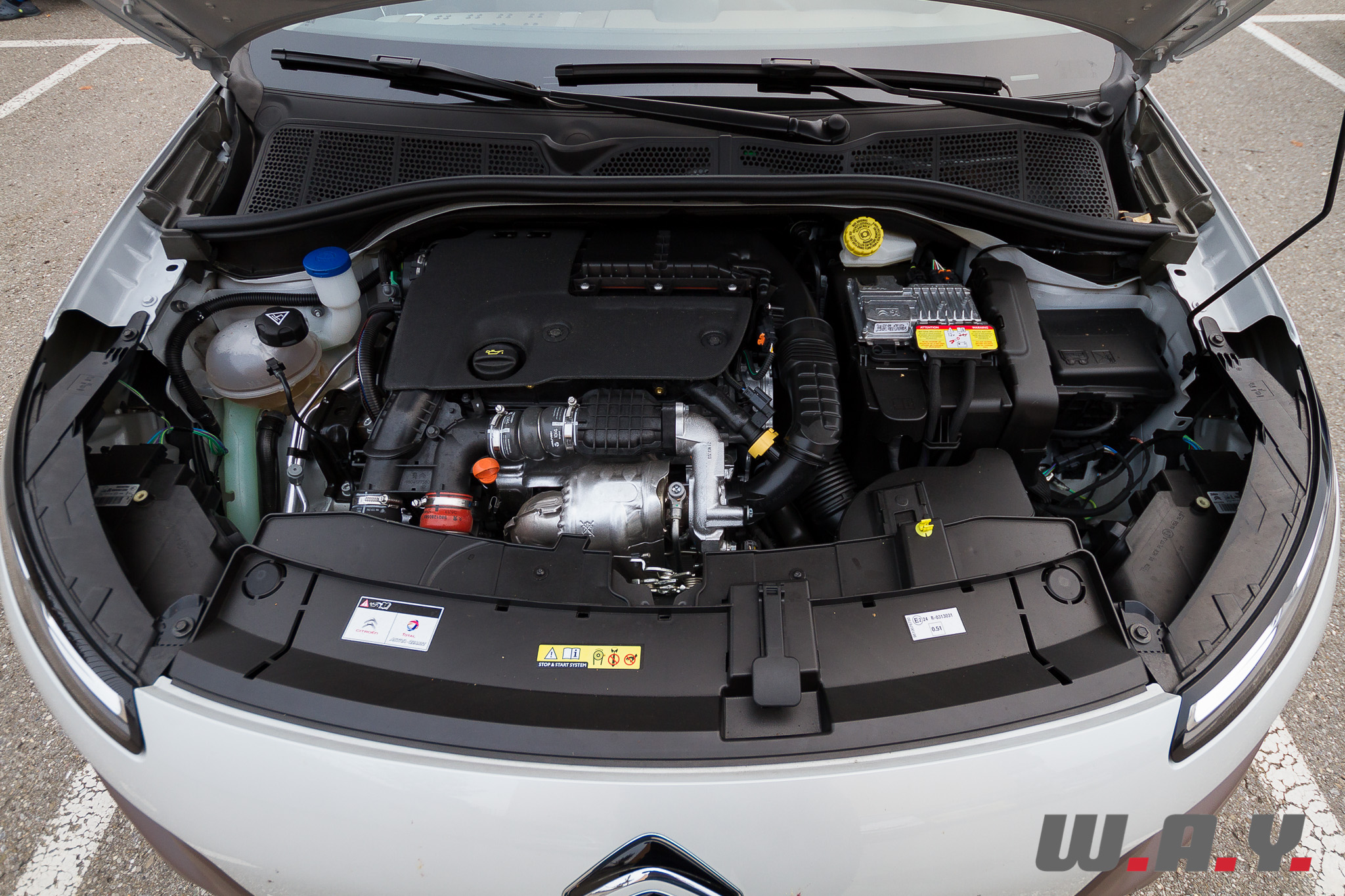 C4Cactus 31