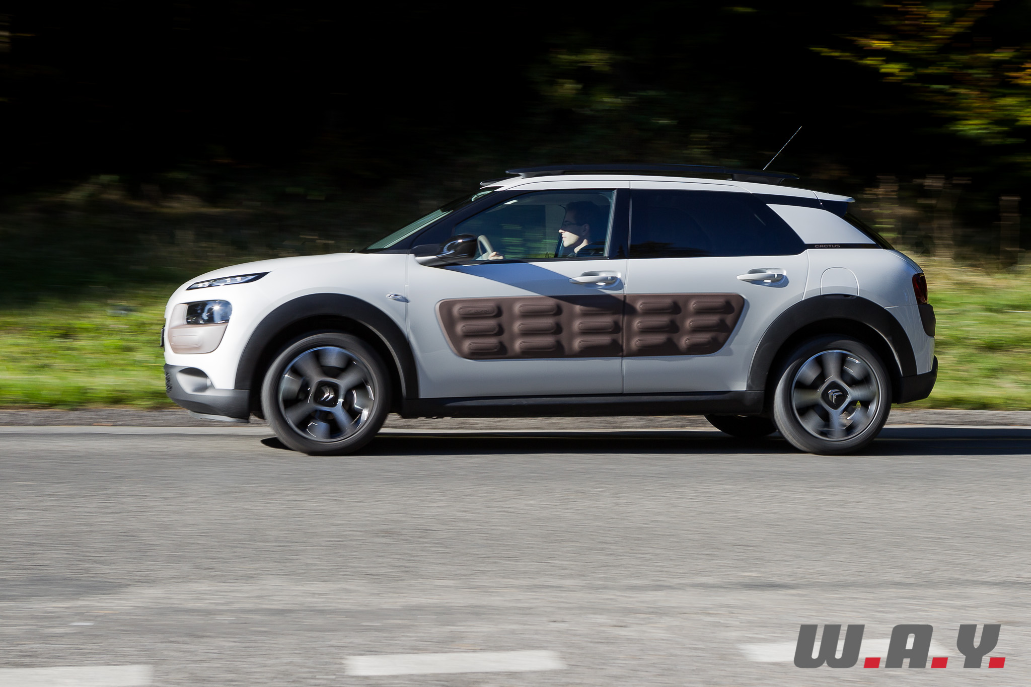 C4Cactus 32