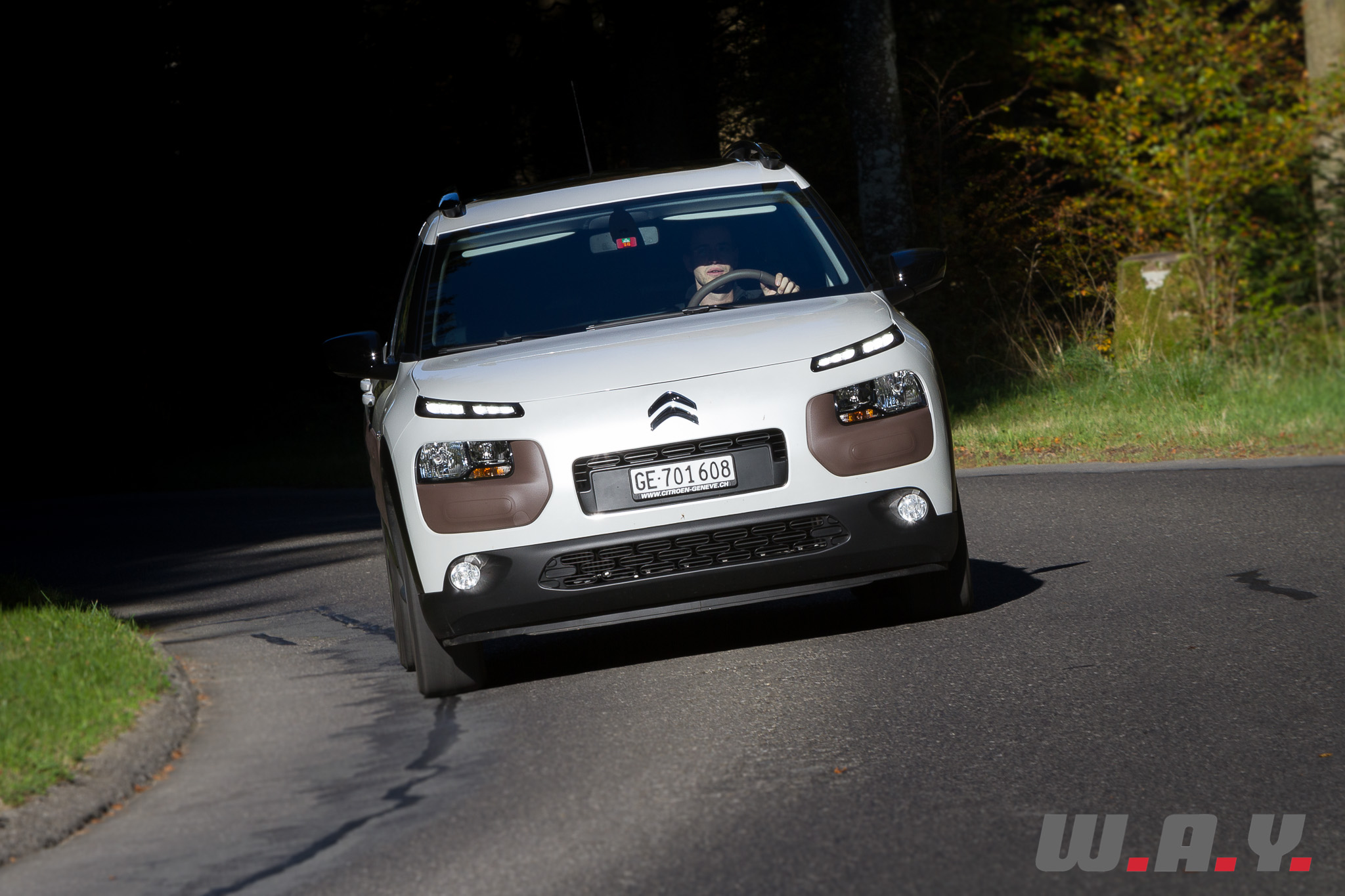 C4Cactus 36