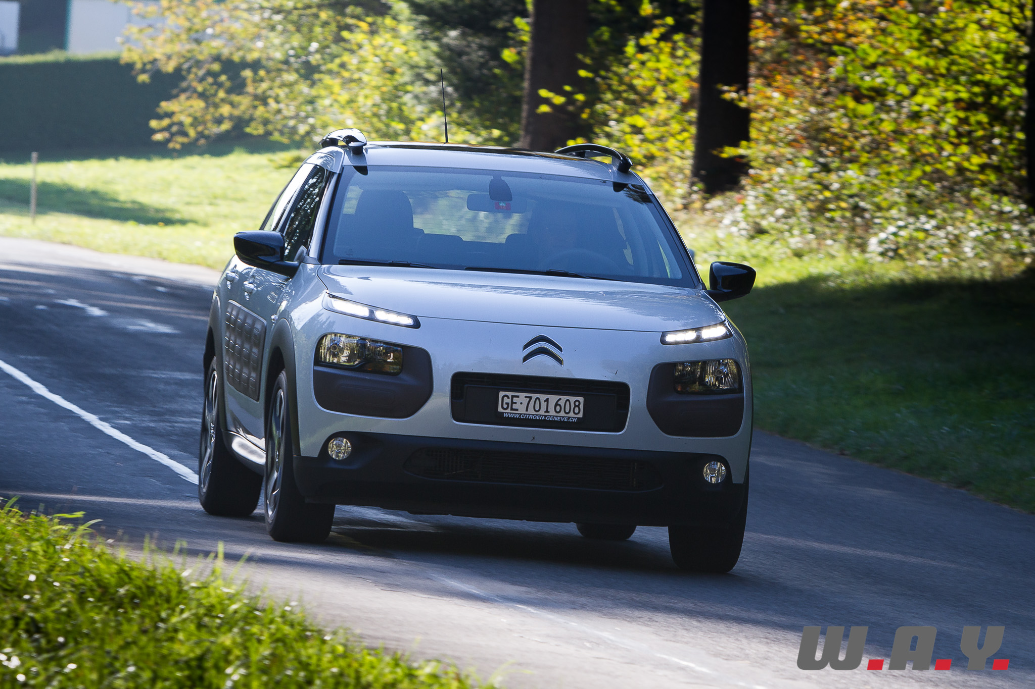 C4Cactus 38