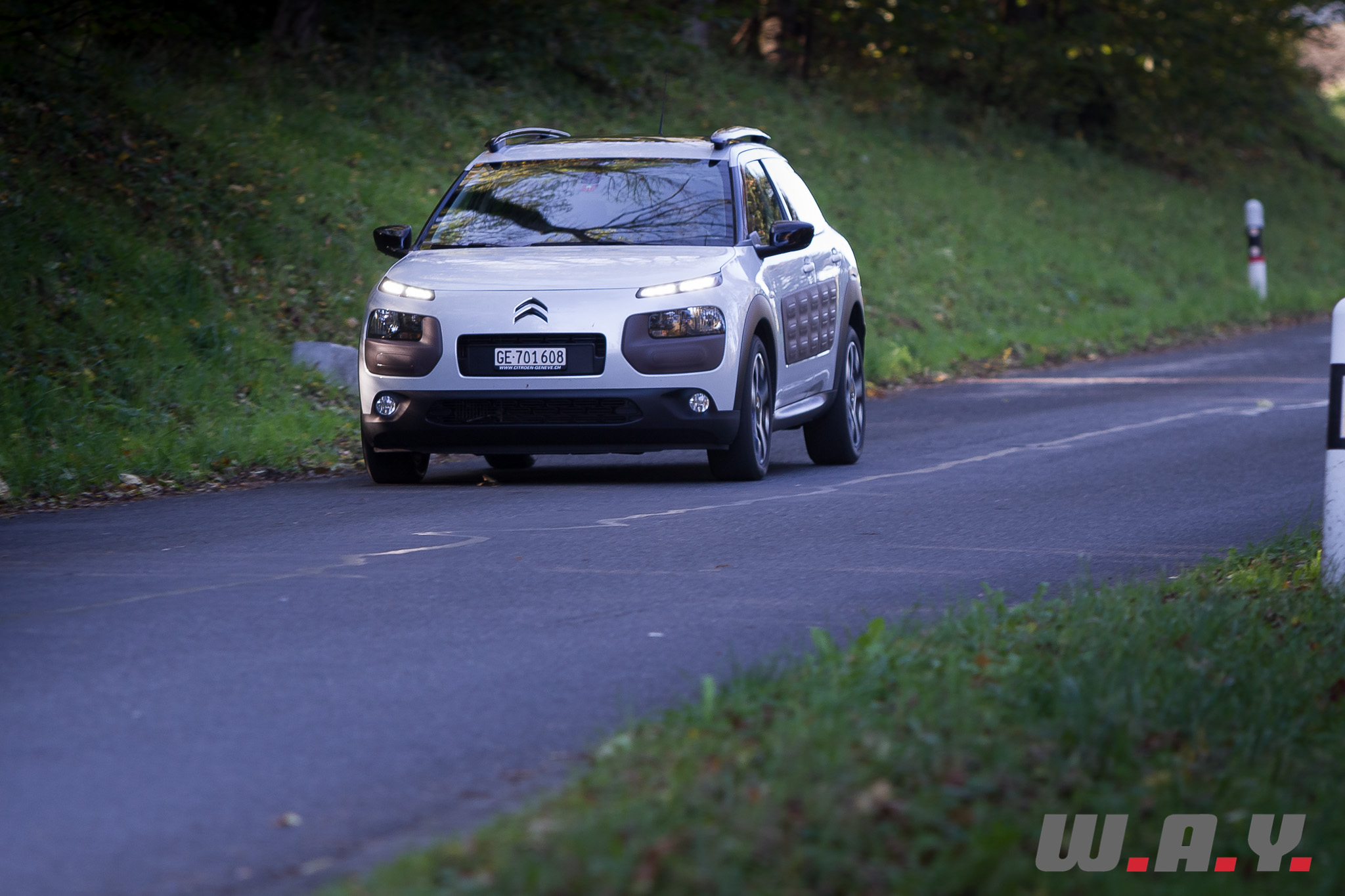 C4Cactus 40