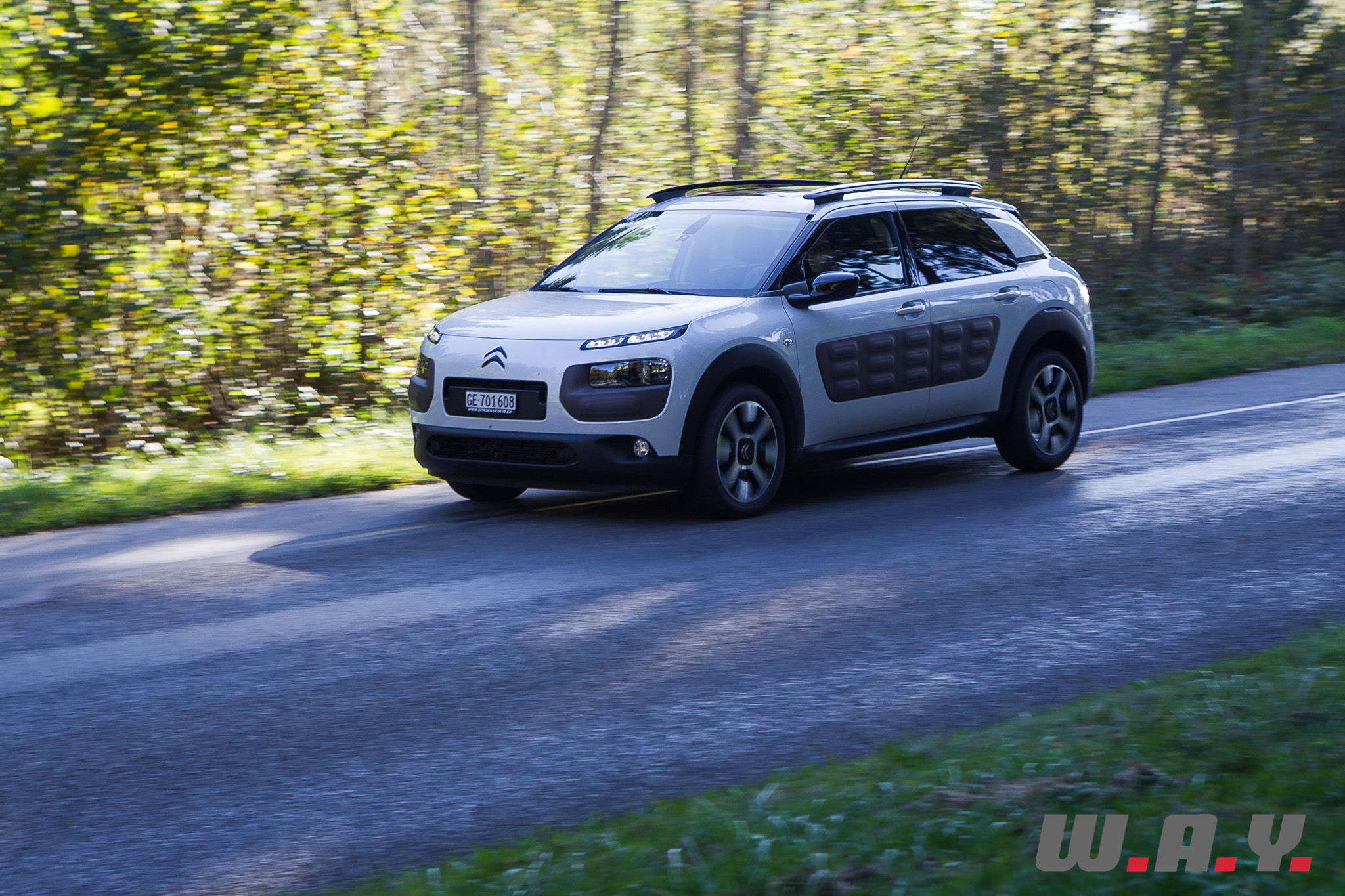 C4Cactus 42