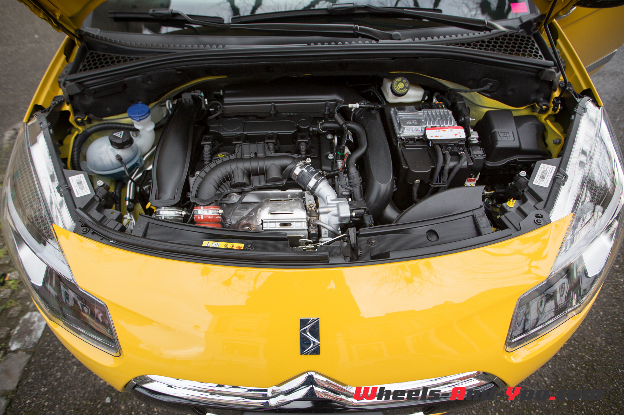 DS3-2015-1