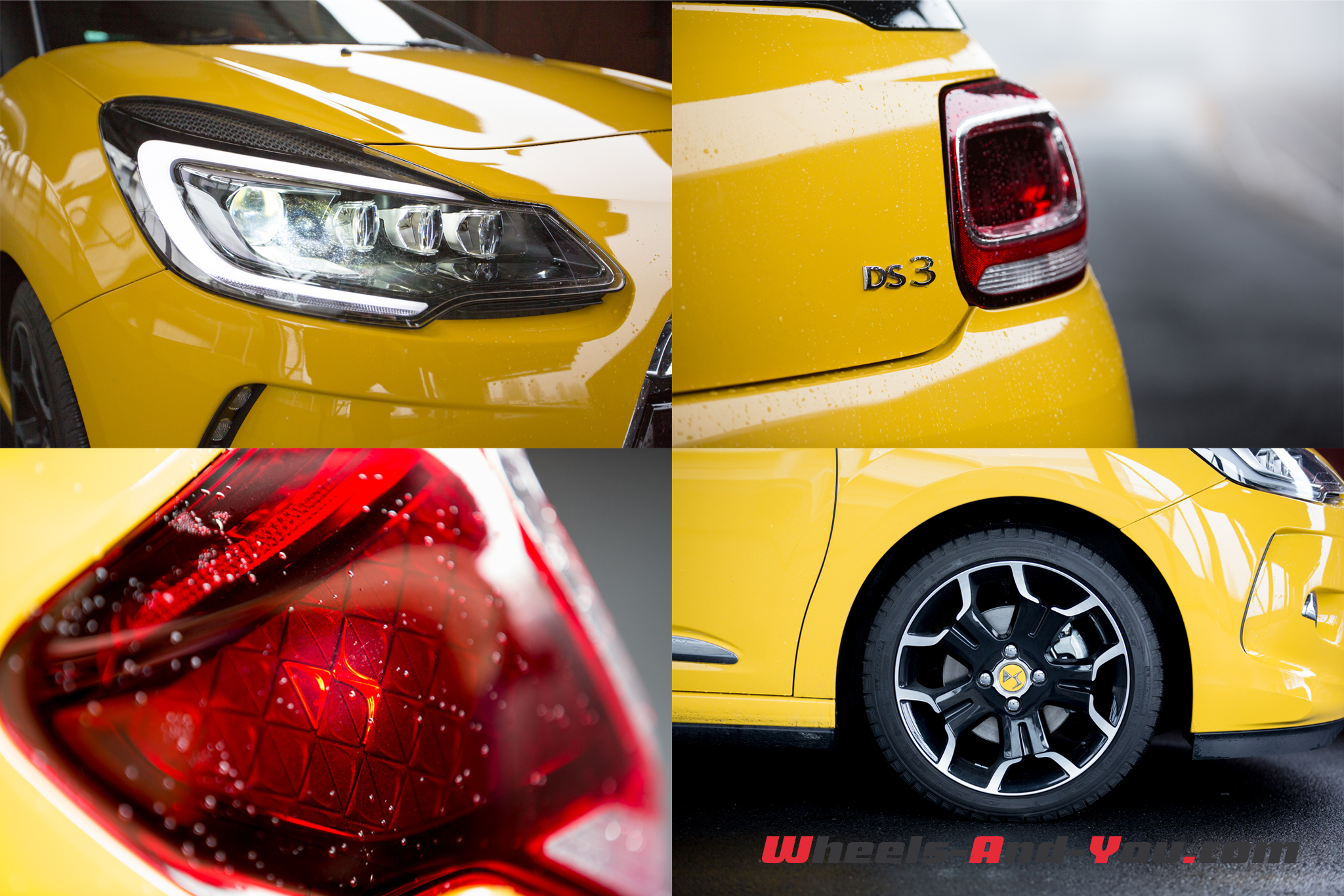 DS3-2015-53