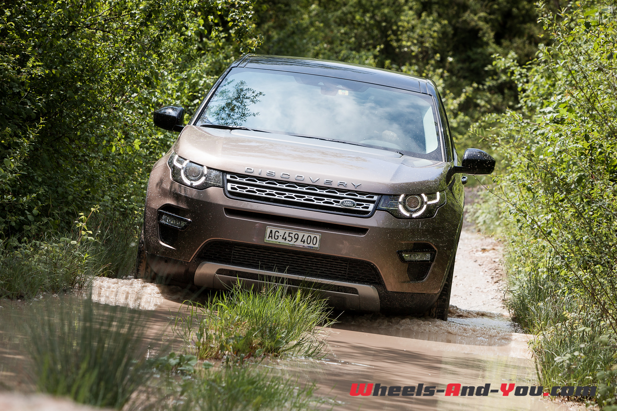 Discovery-Sport-19