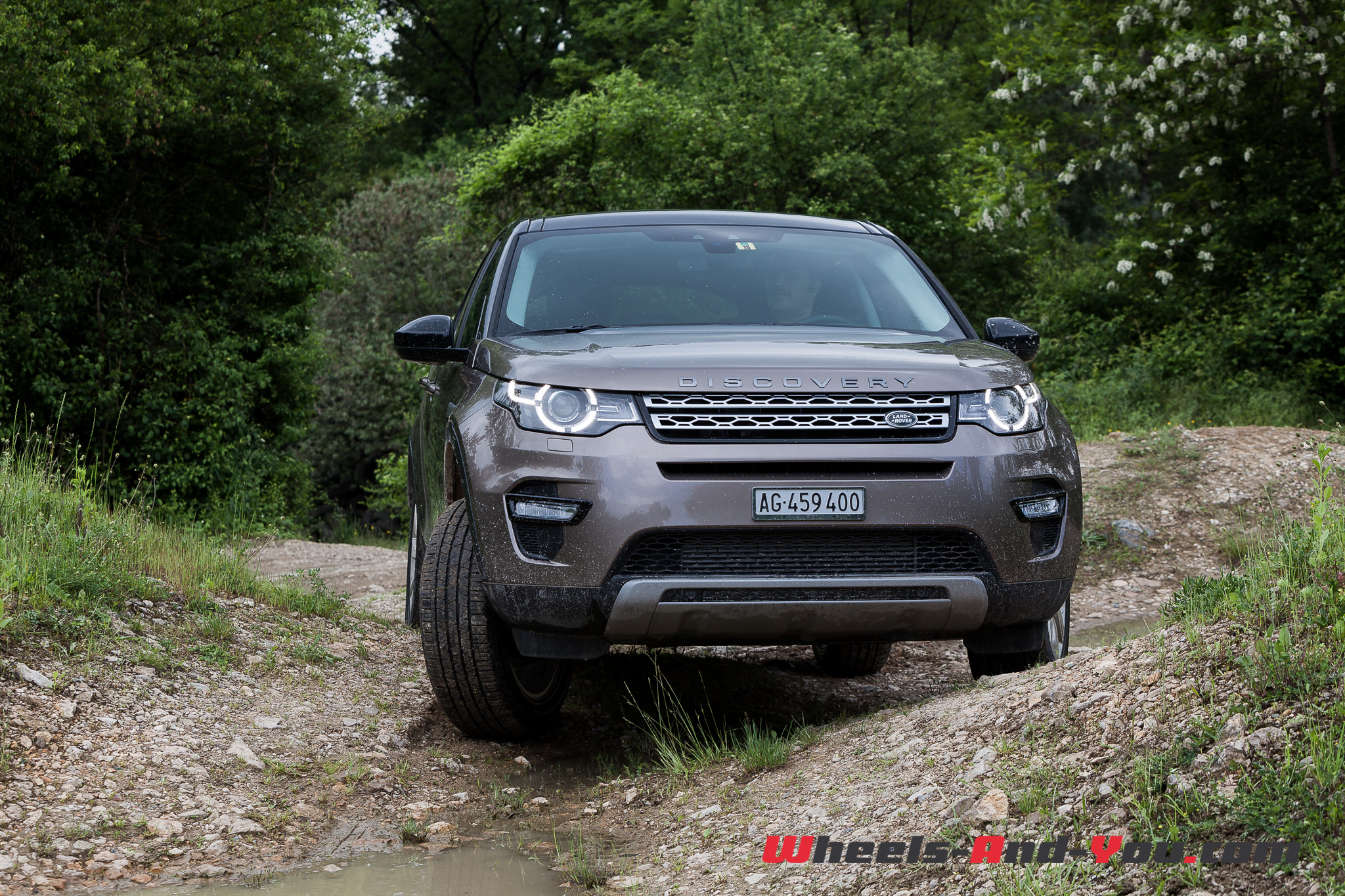 Discovery-Sport-25