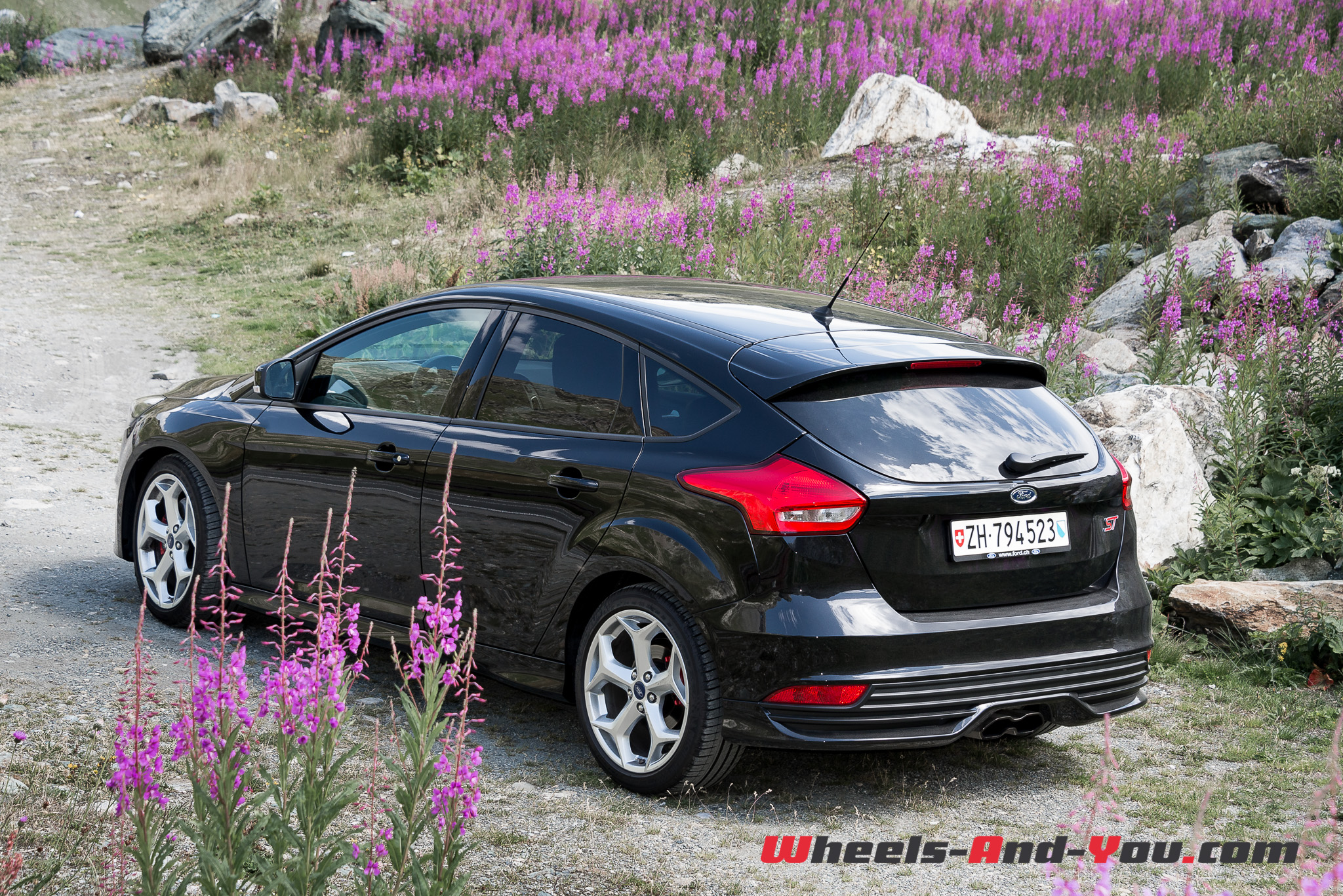 FordFocusST 19