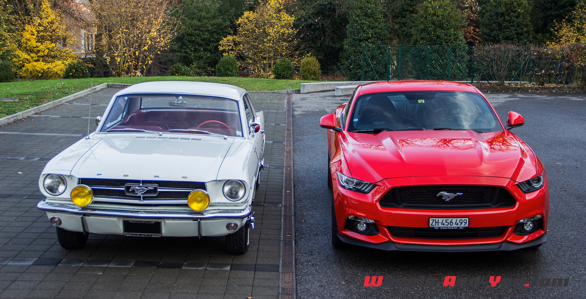 Ford Mustang-42