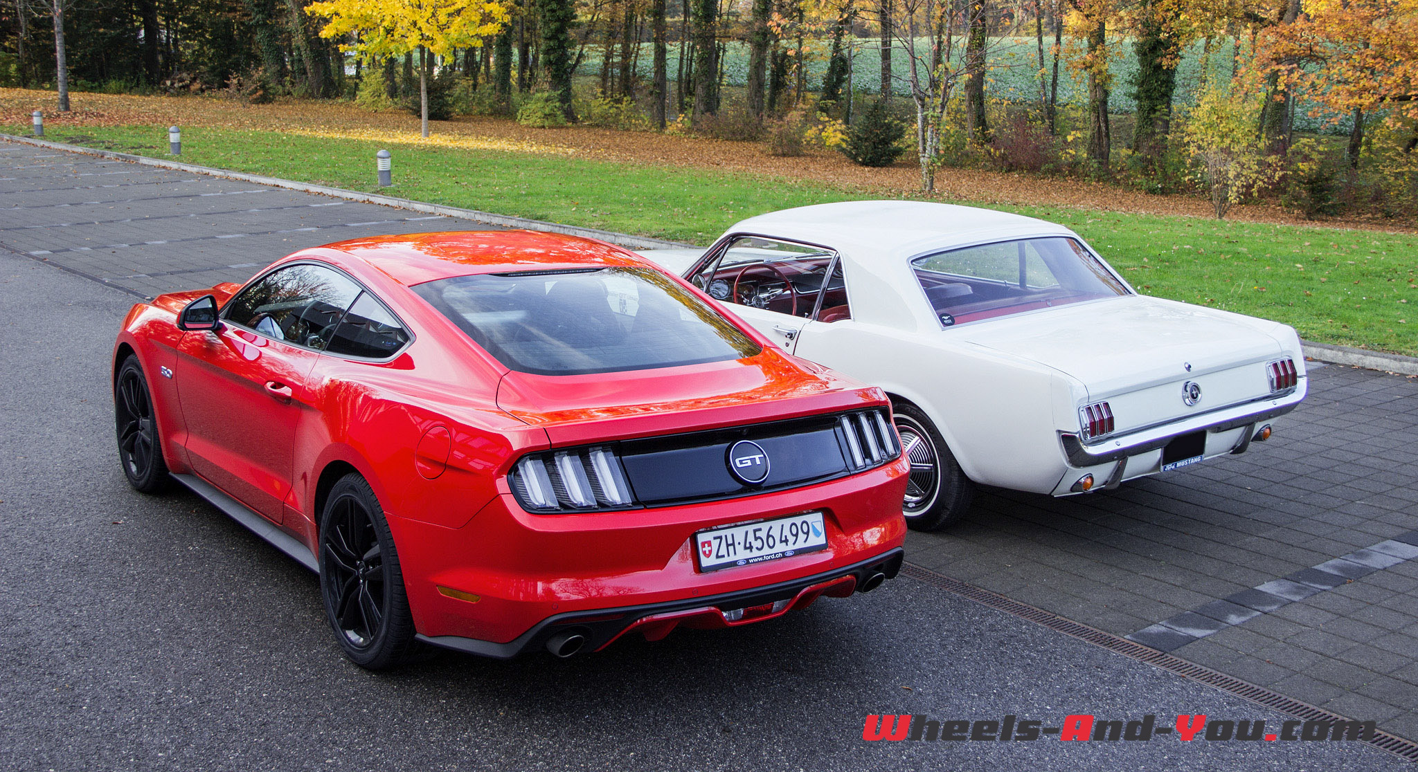 Ford Mustang-44