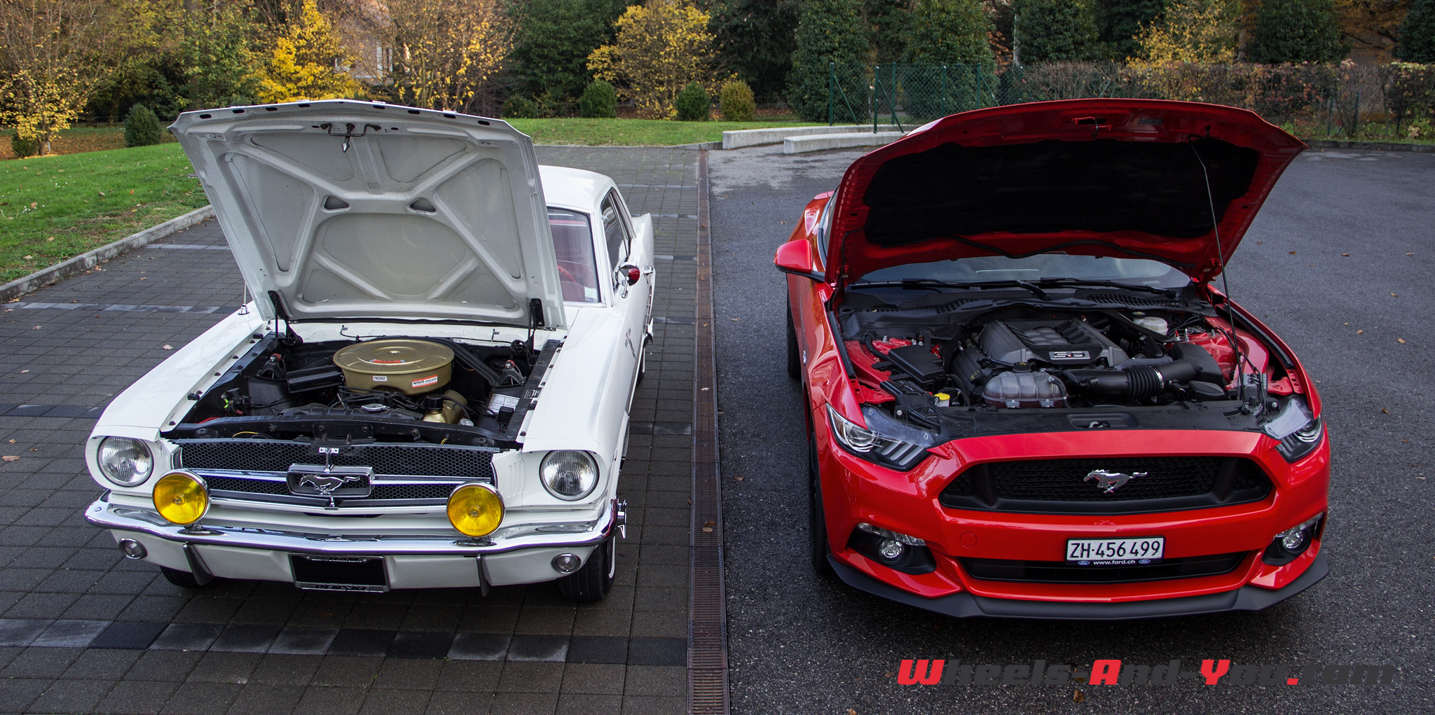 Ford Mustang-45