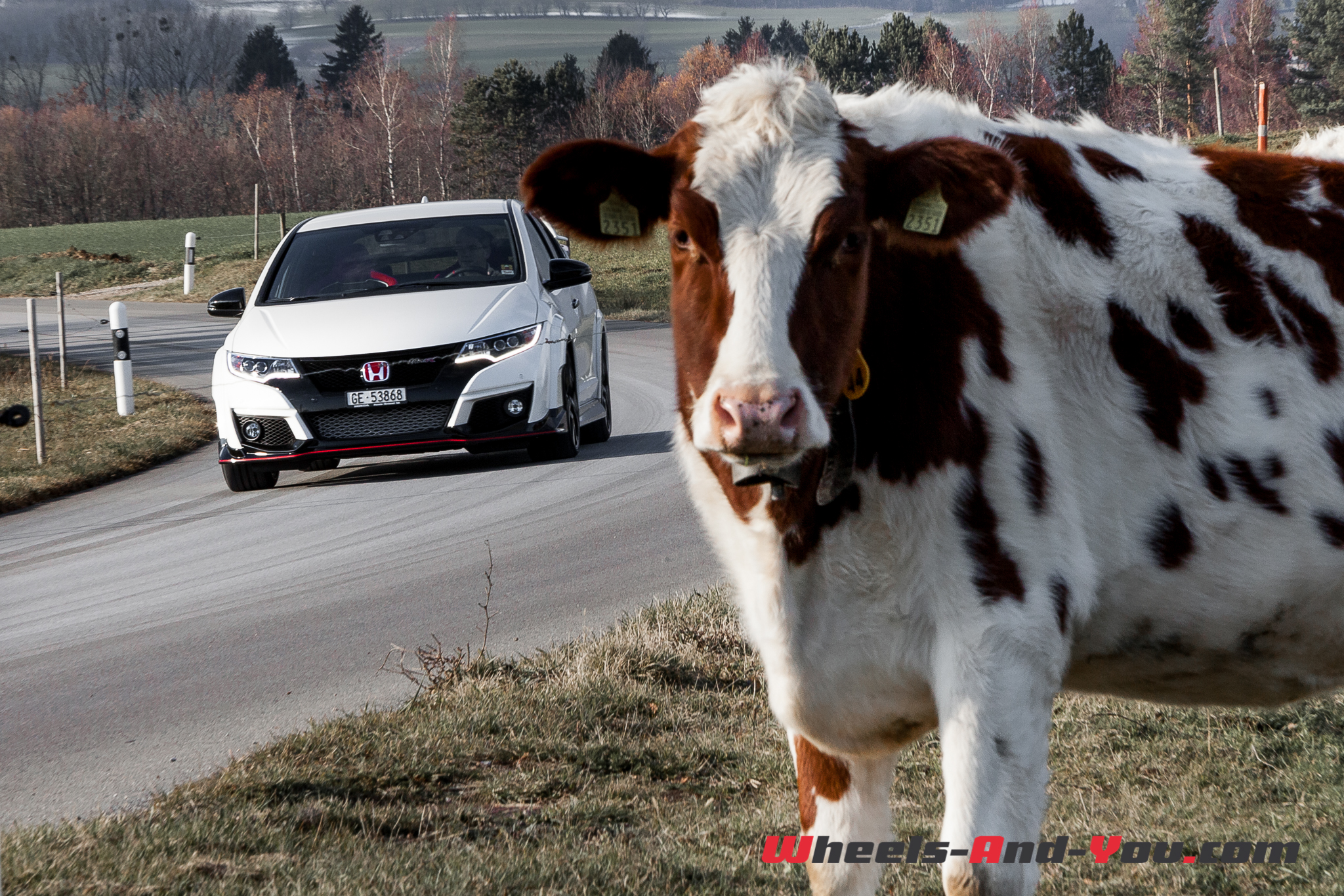 HondaCivicTypeR 15