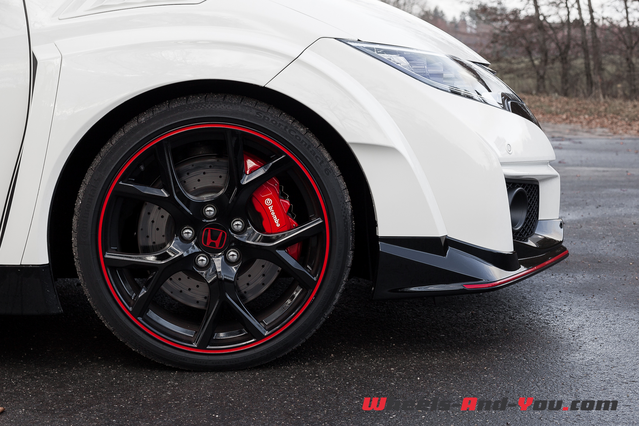 HondaCivicTypeR 21