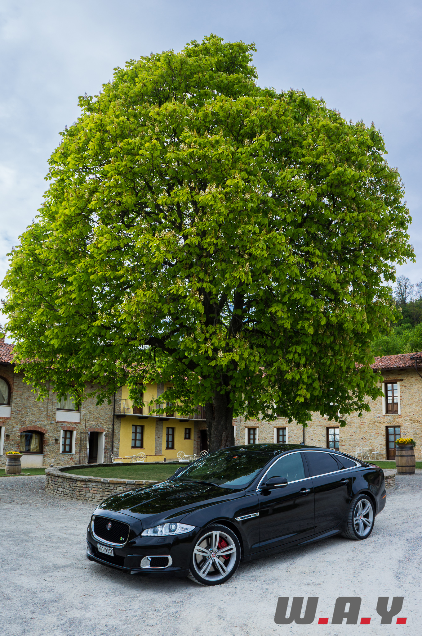 JaguarXJR-37