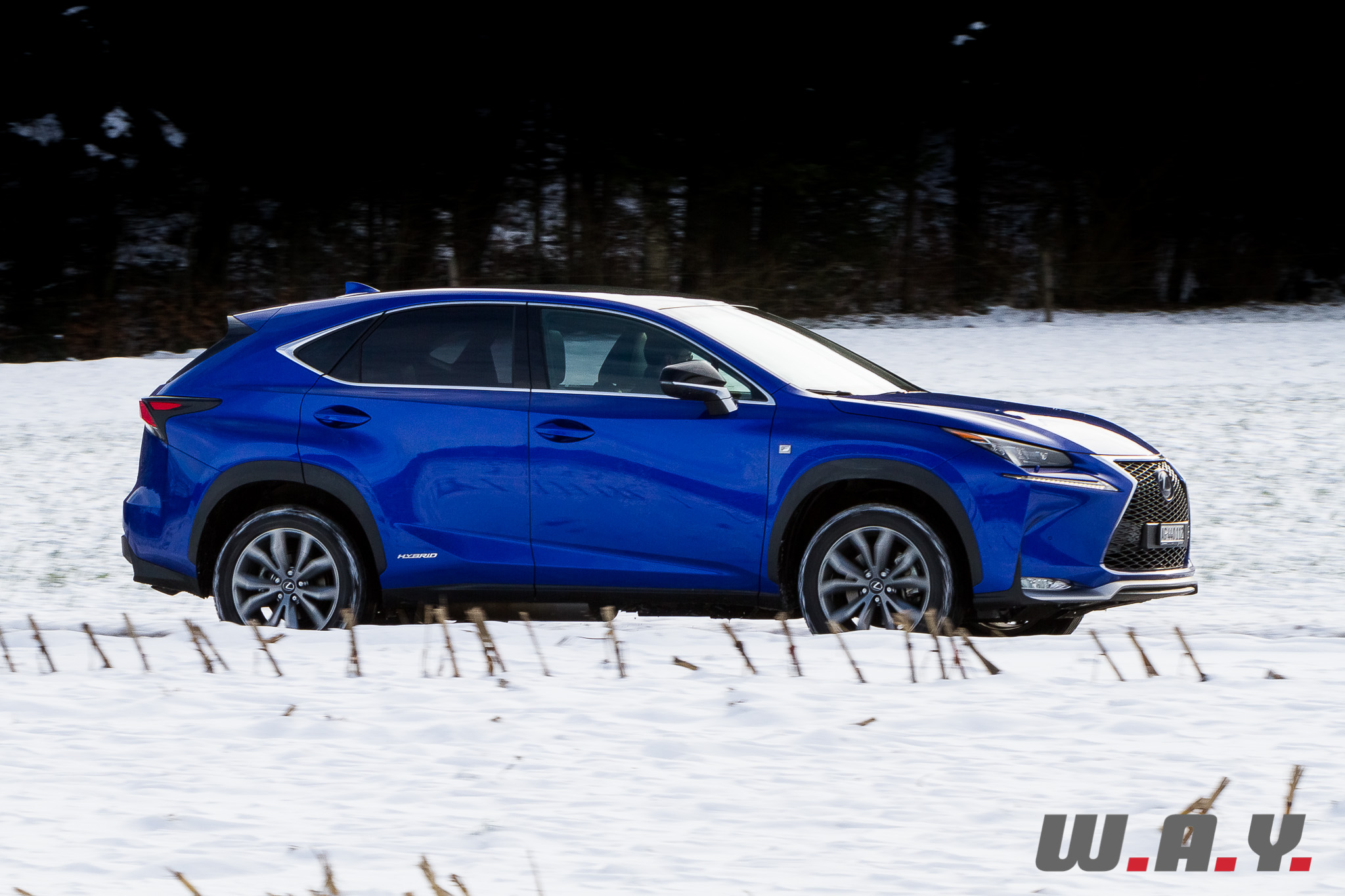 LexusNX300h 06