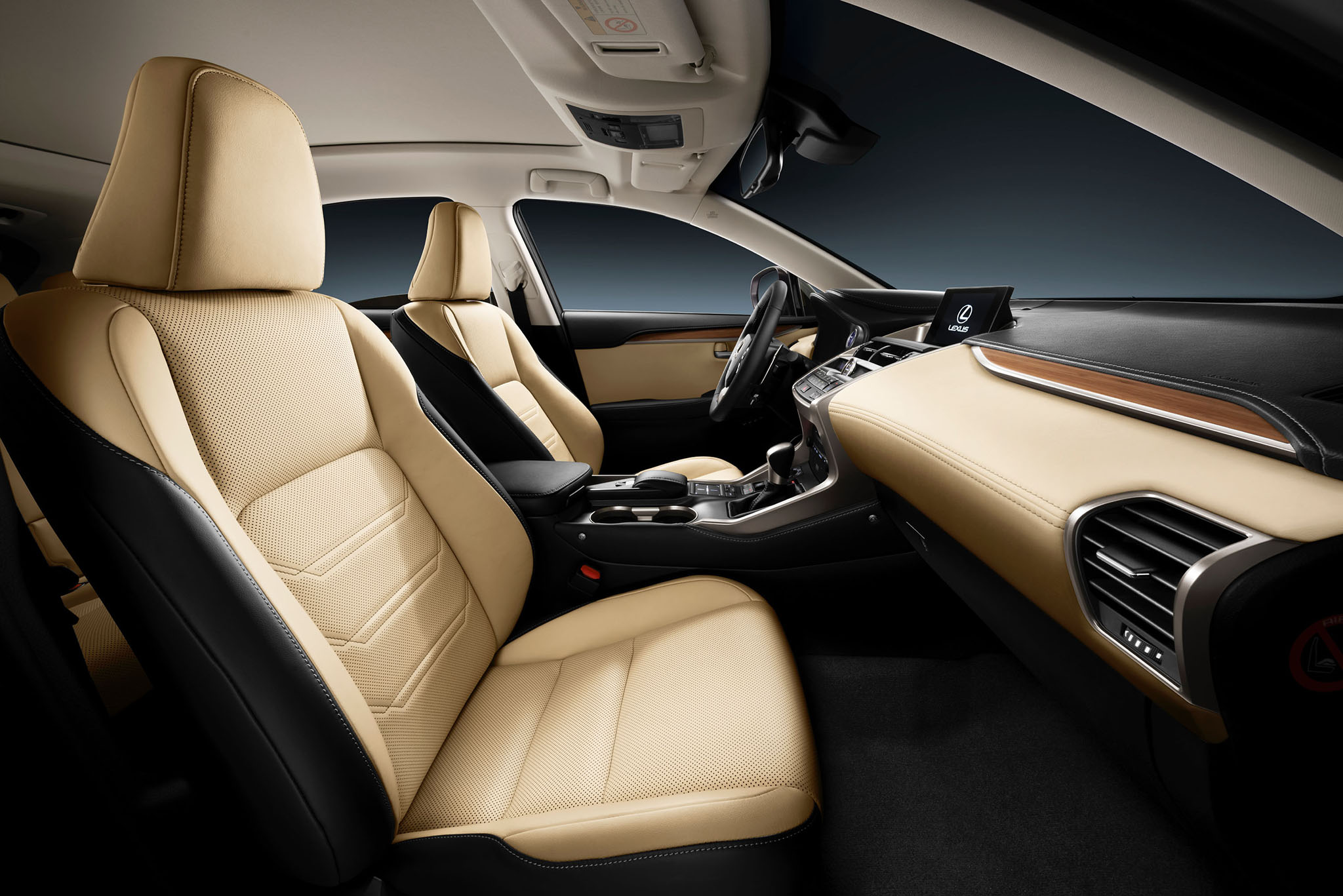 LexusNX 03