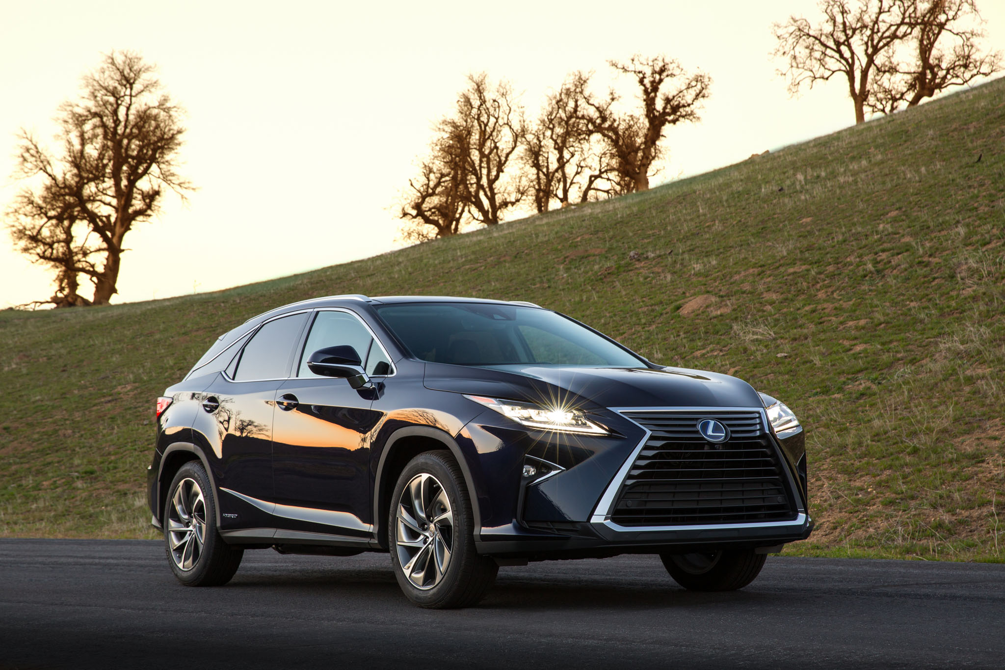 LexusRX 01