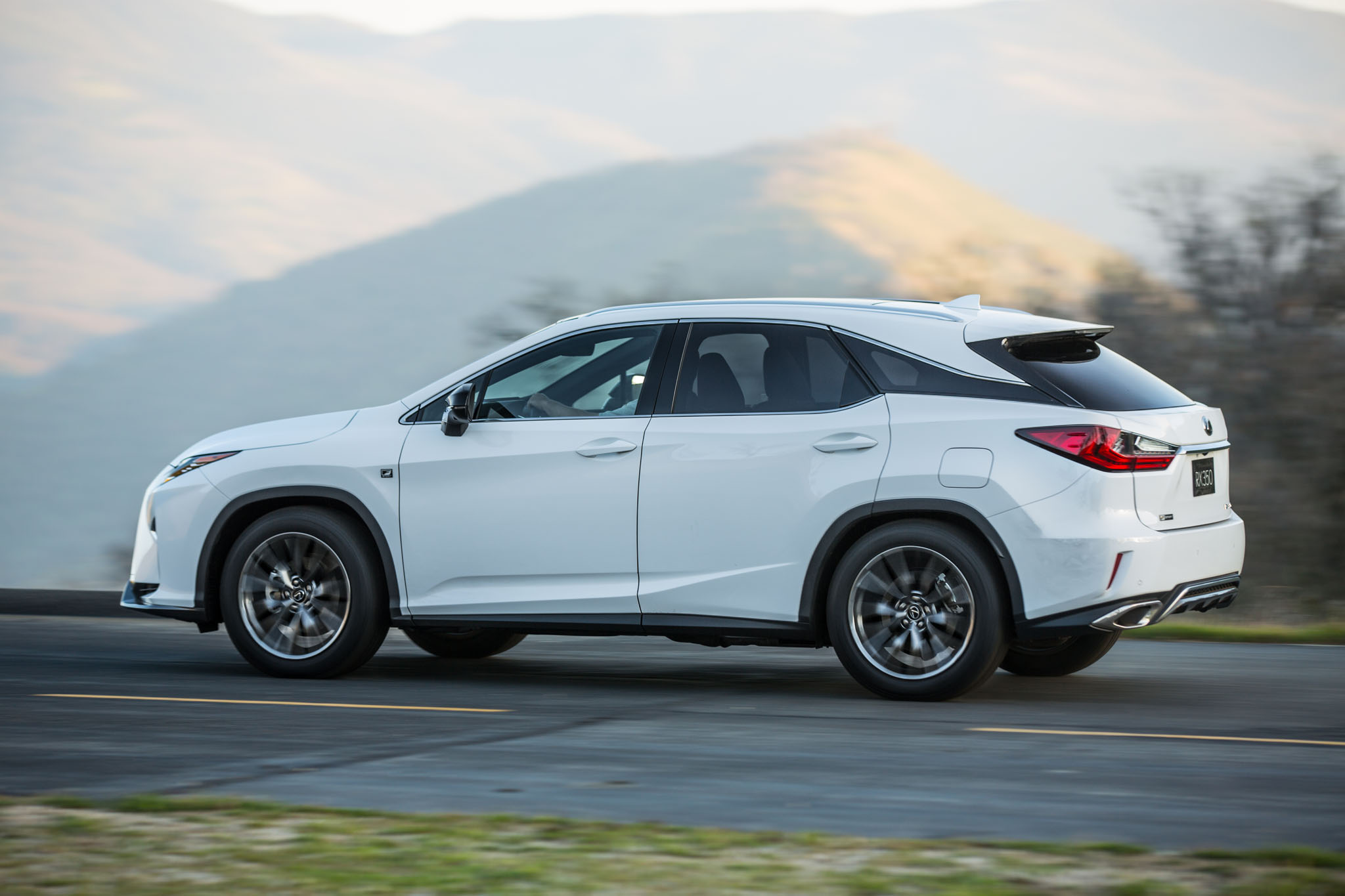 LexusRX 09