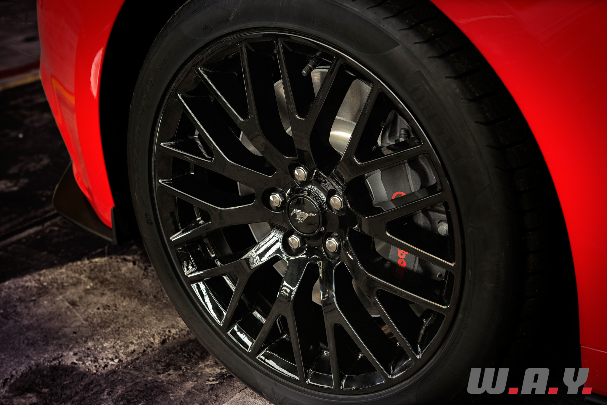 Mustang-01